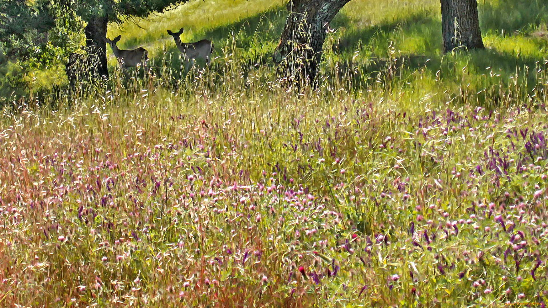 разное, компьютерный, дизайн, деревья, лес, животные
