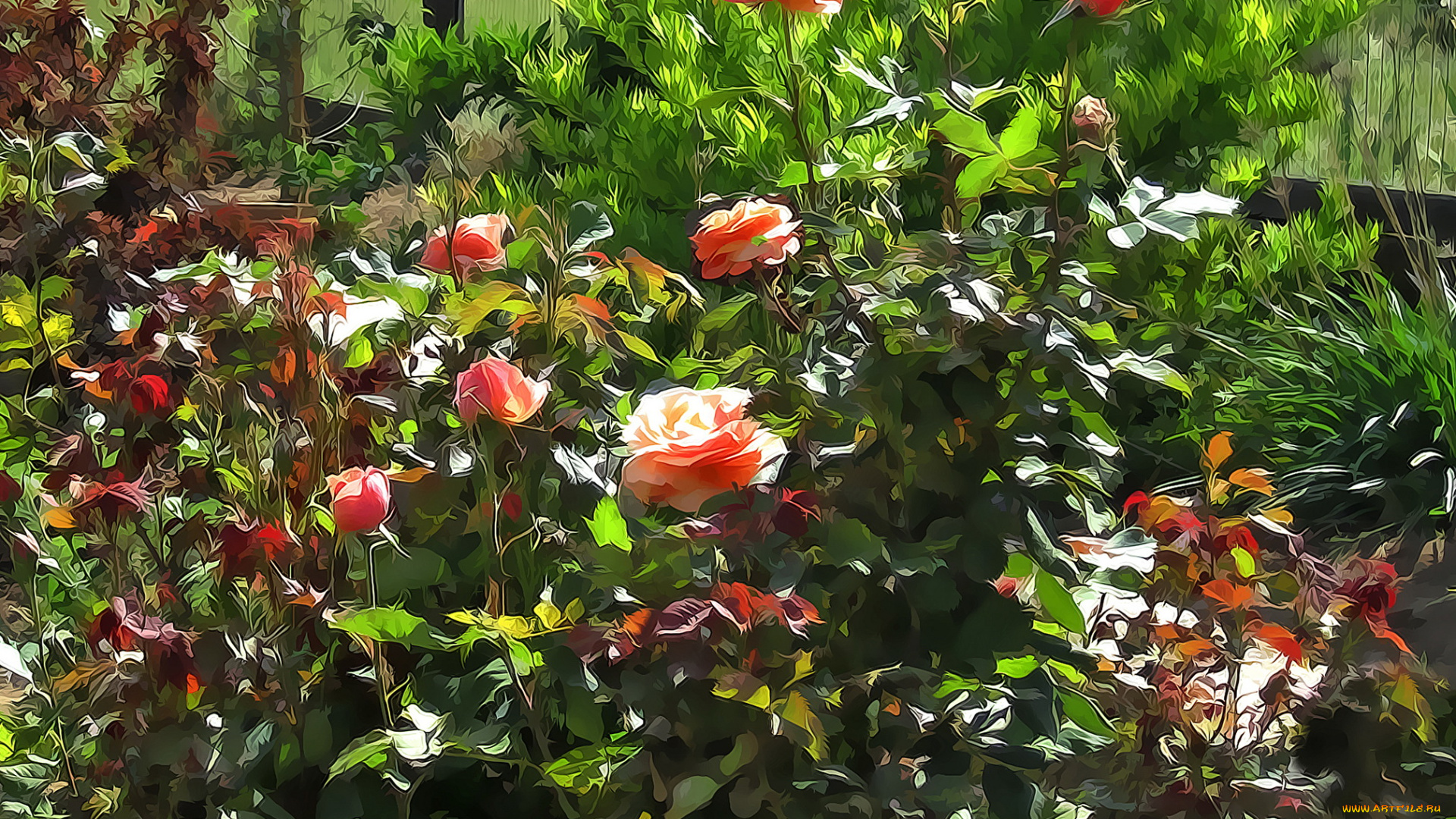 разное, компьютерный, дизайн, розы, цветы