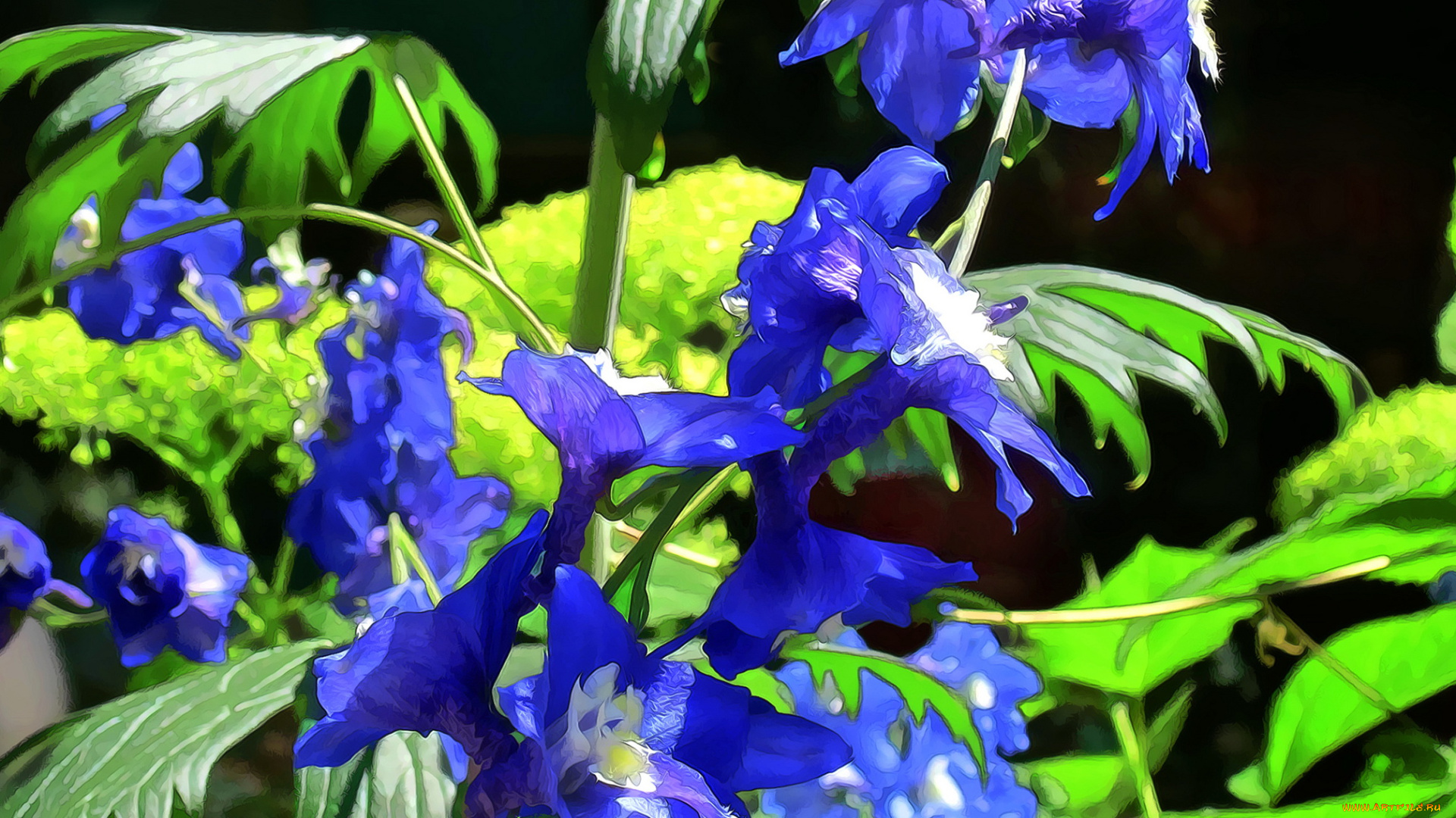 разное, компьютерный, дизайн, синии, цветы