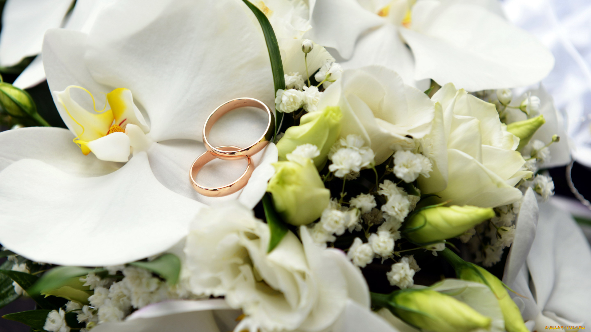 разное, украшения, , аксессуары, , веера, кольца, орхидея