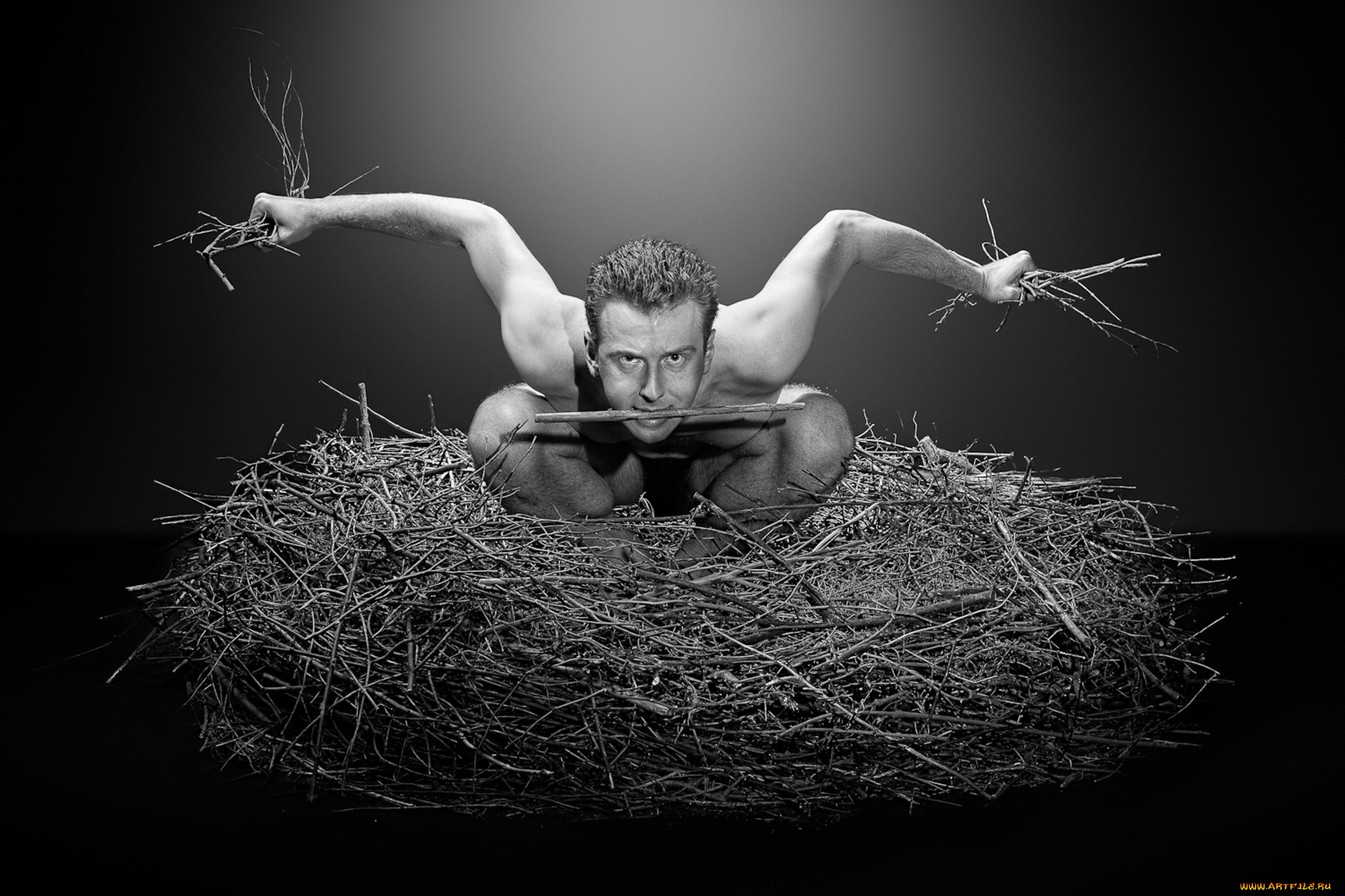 юмор, и, приколы, гнездо, мужик