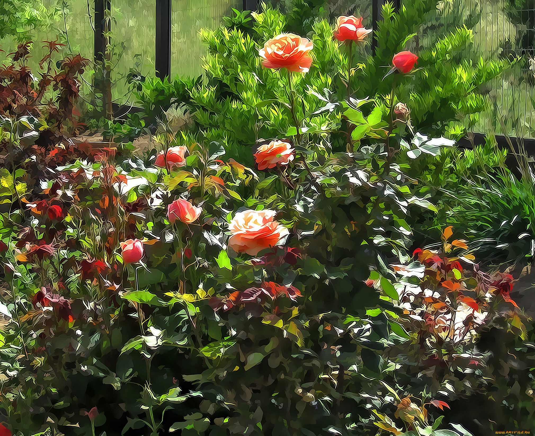 разное, компьютерный, дизайн, розы, цветы