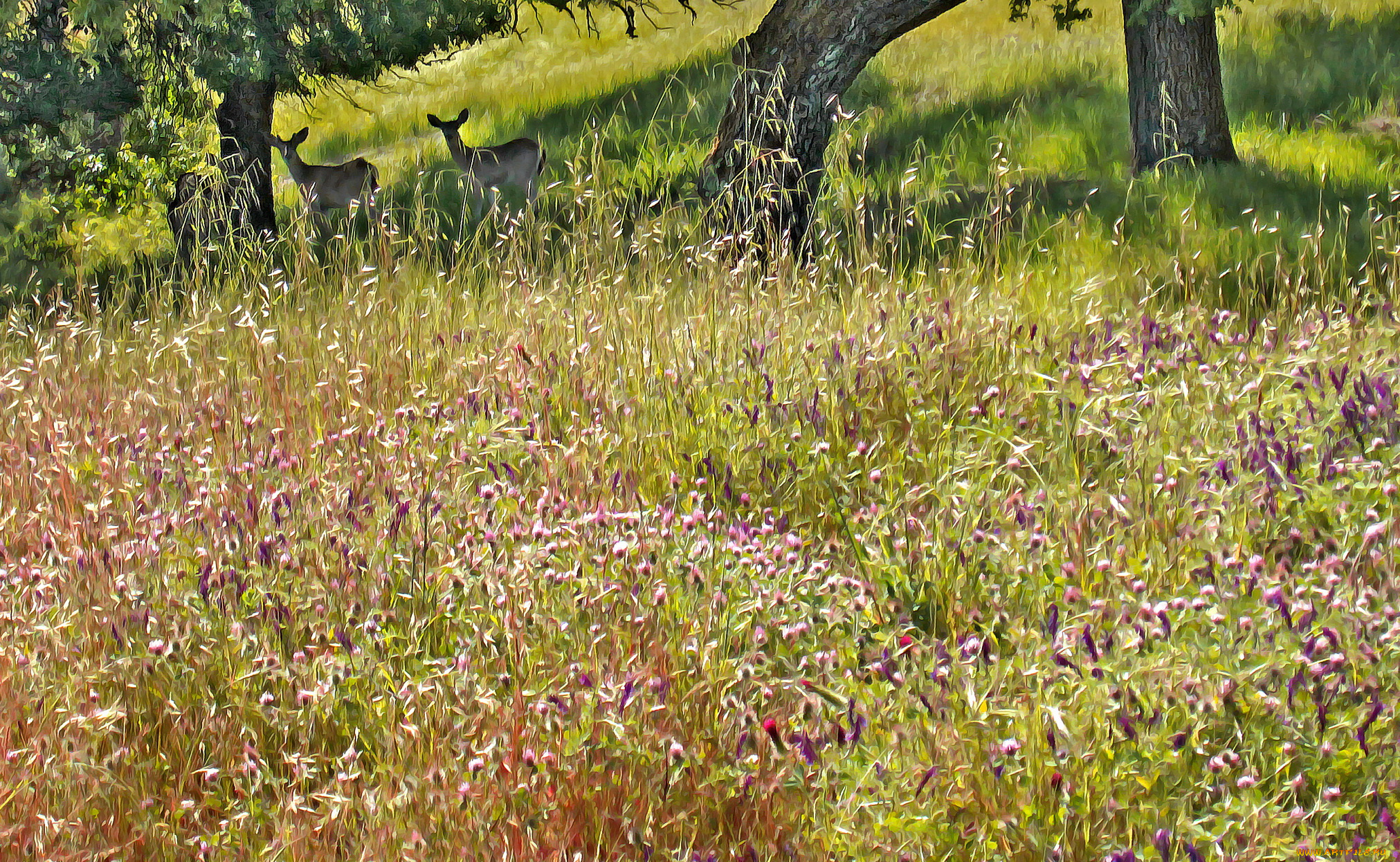 разное, компьютерный, дизайн, деревья, лес, животные