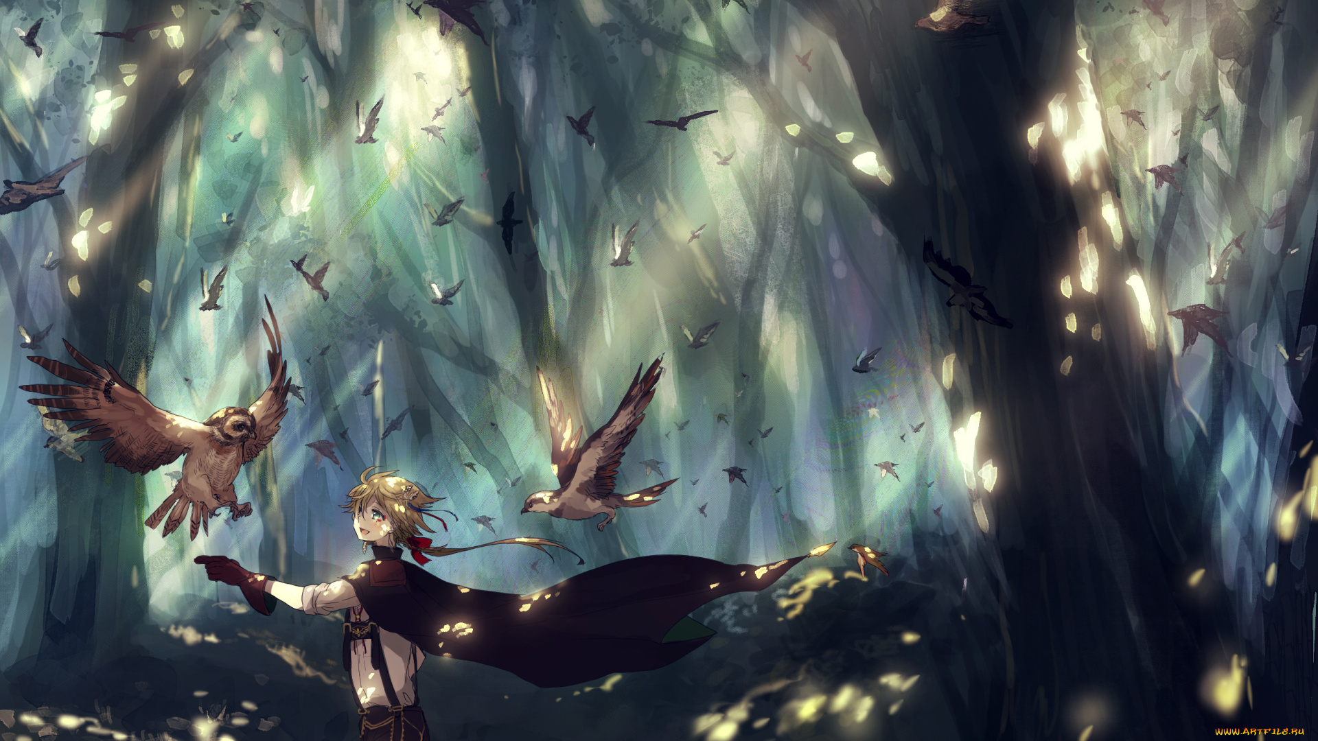 аниме, животные, , существа, мужчина, сова, лента, плащ, перчатка, свет, canarinu, kmes, деревья, птицы, лес