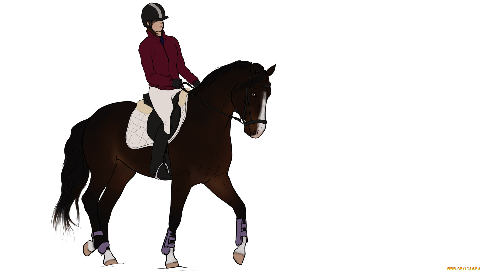 рисованное, животные, , лошади, лошадь, жокей