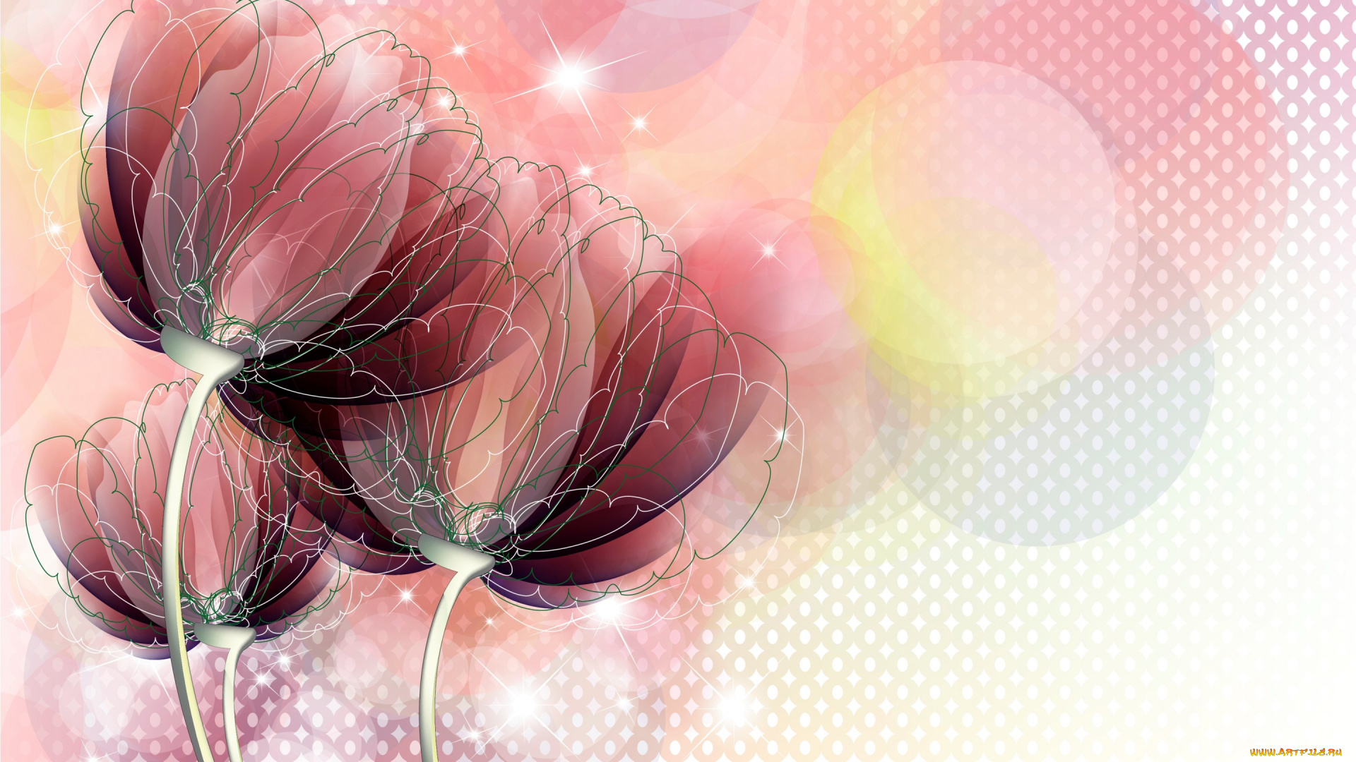 векторная, графика, цветы, тюльпаны, рисунок, фон