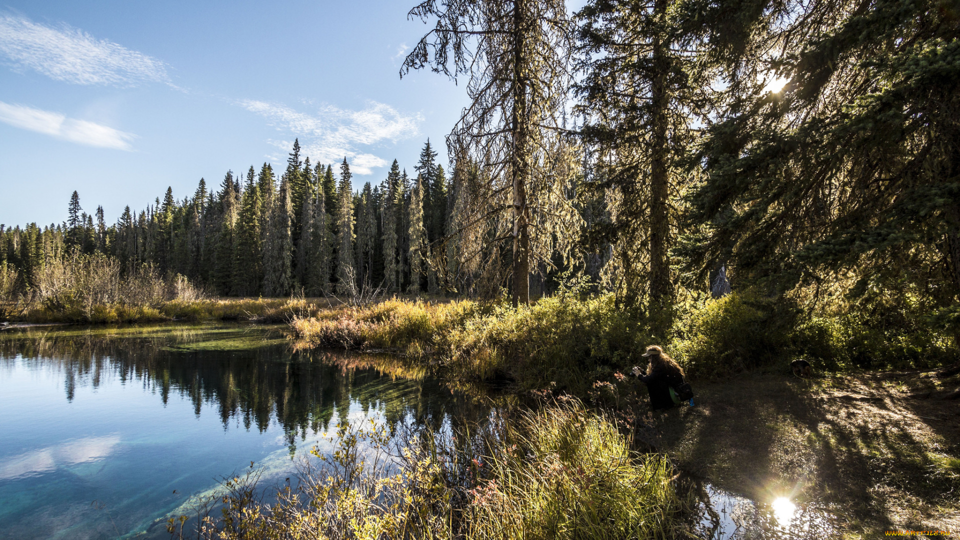 природа, реки, озера, лес, река