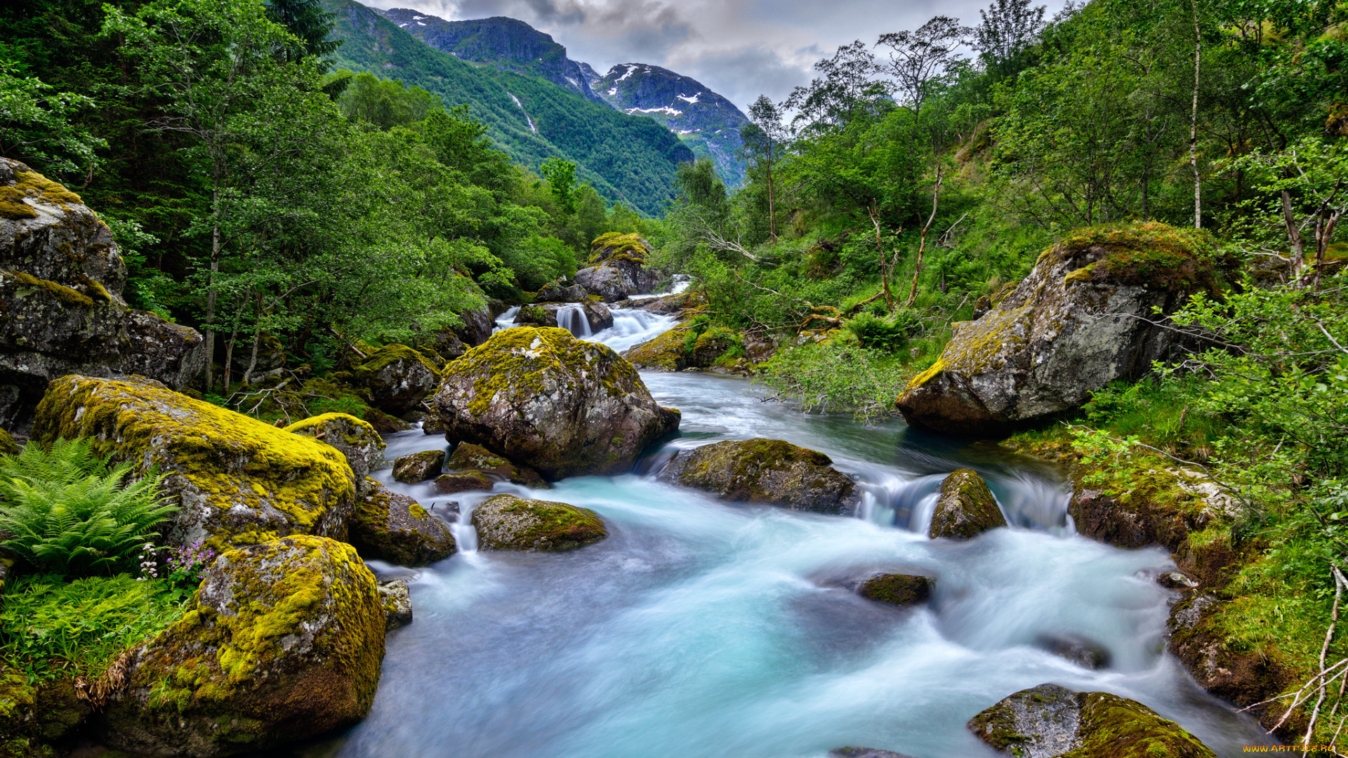 природа, реки, озера, река, лес