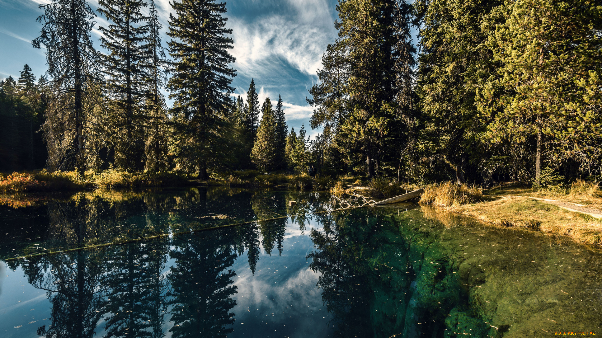 природа, реки, озера, река, лес