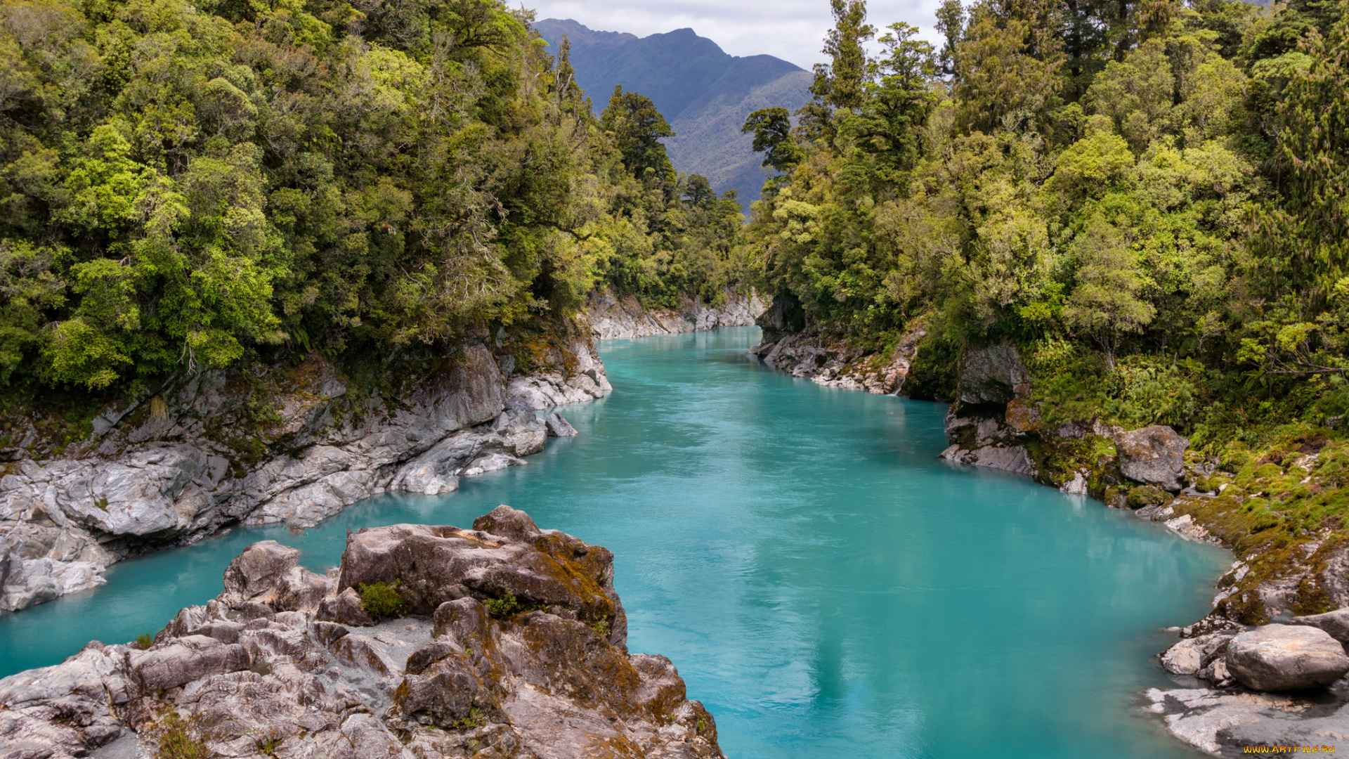 природа, реки, озера, река, лес