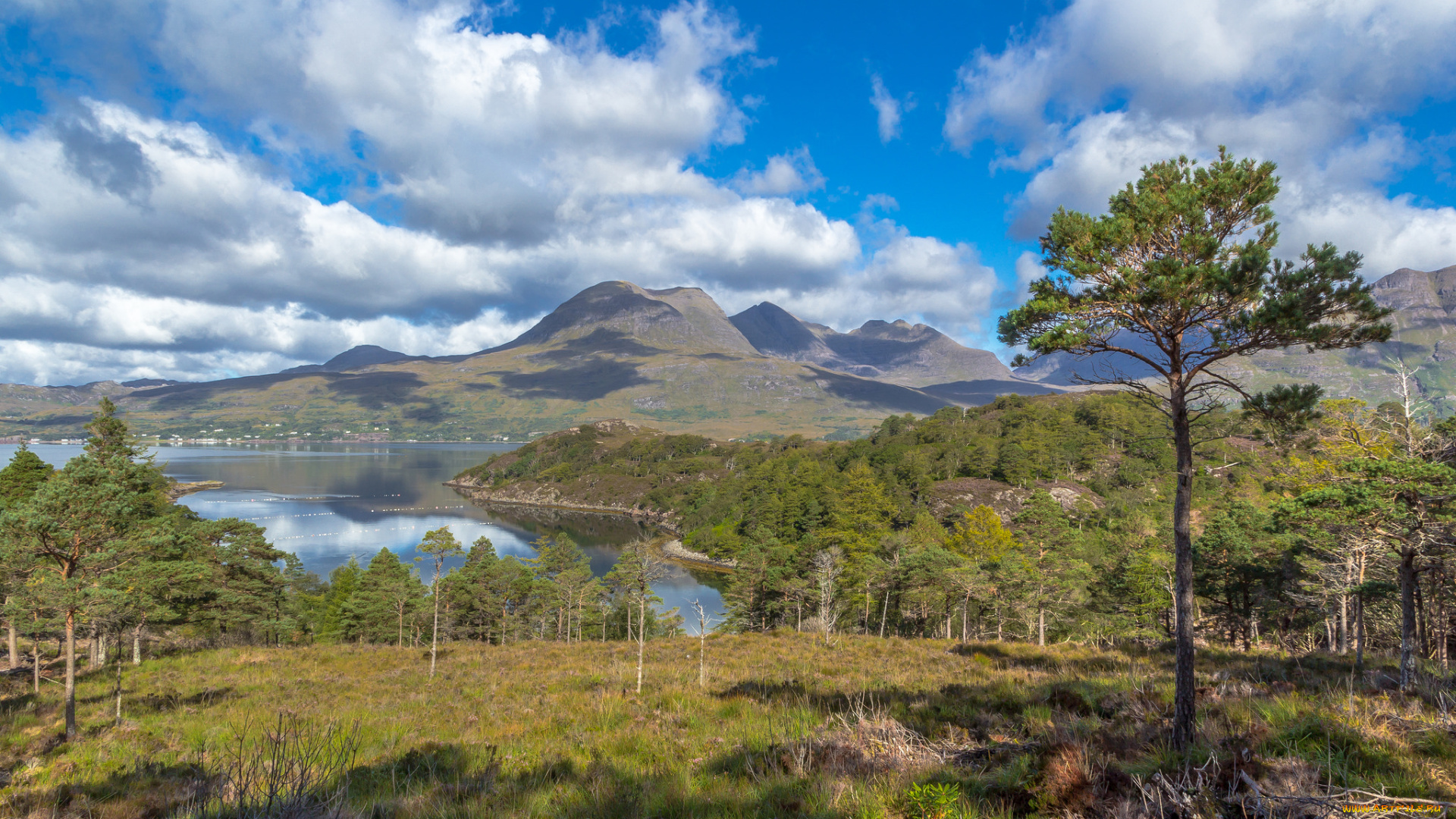 природа, реки, озера, река, лес