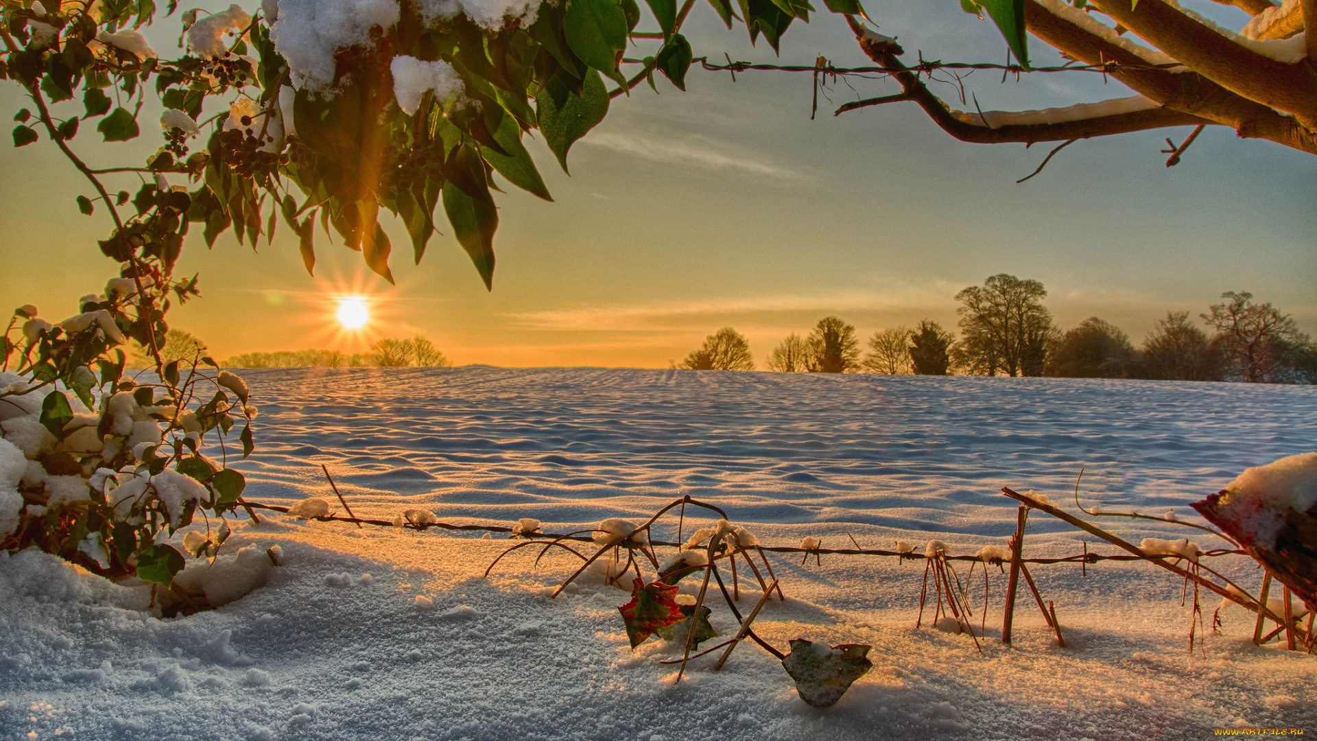 природа, восходы, закаты, рассвет