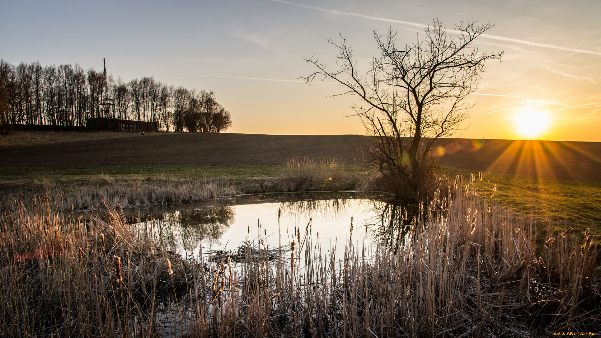 природа, восходы, закаты, рассвет
