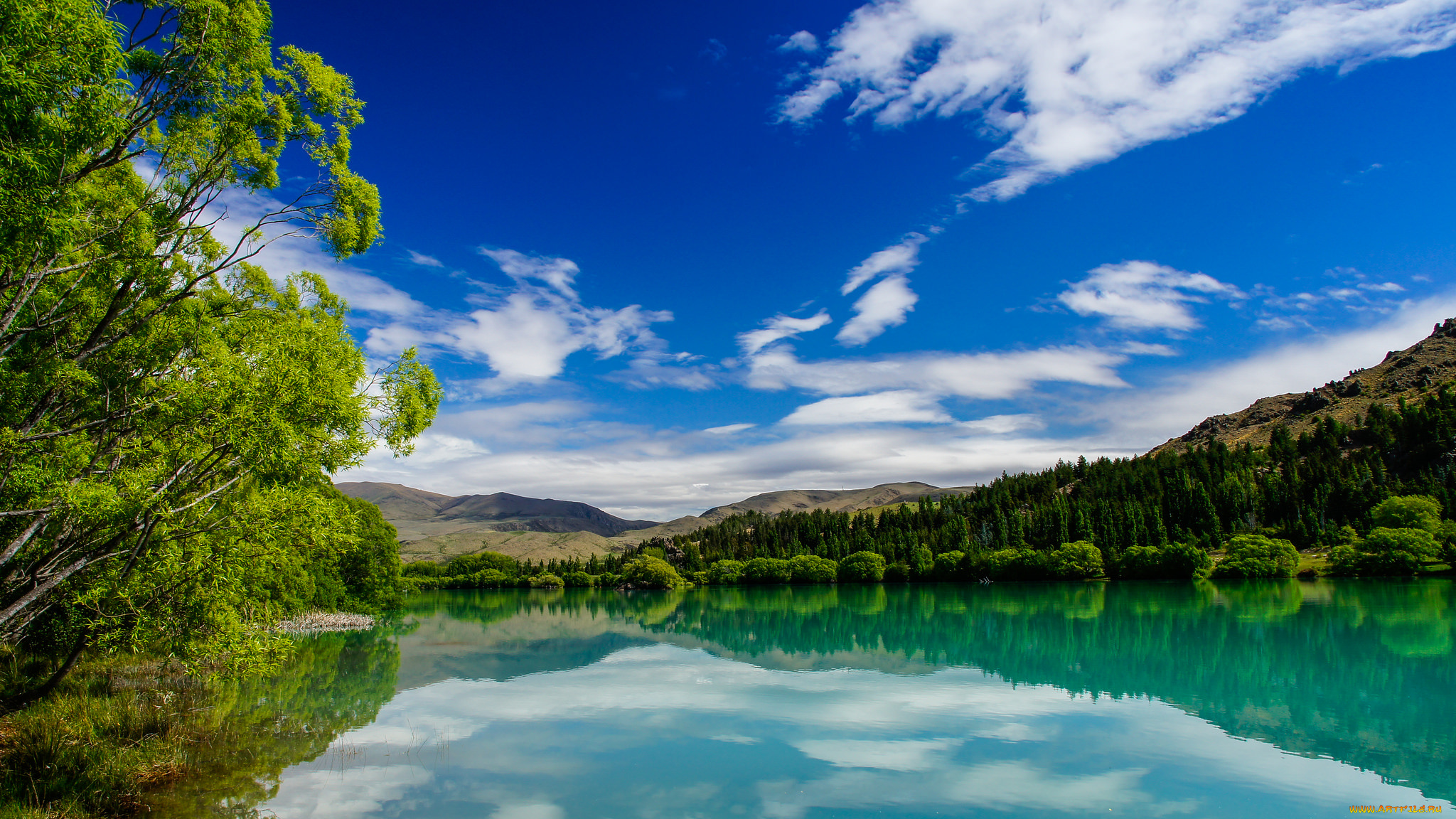 природа, реки, озера, лес, река