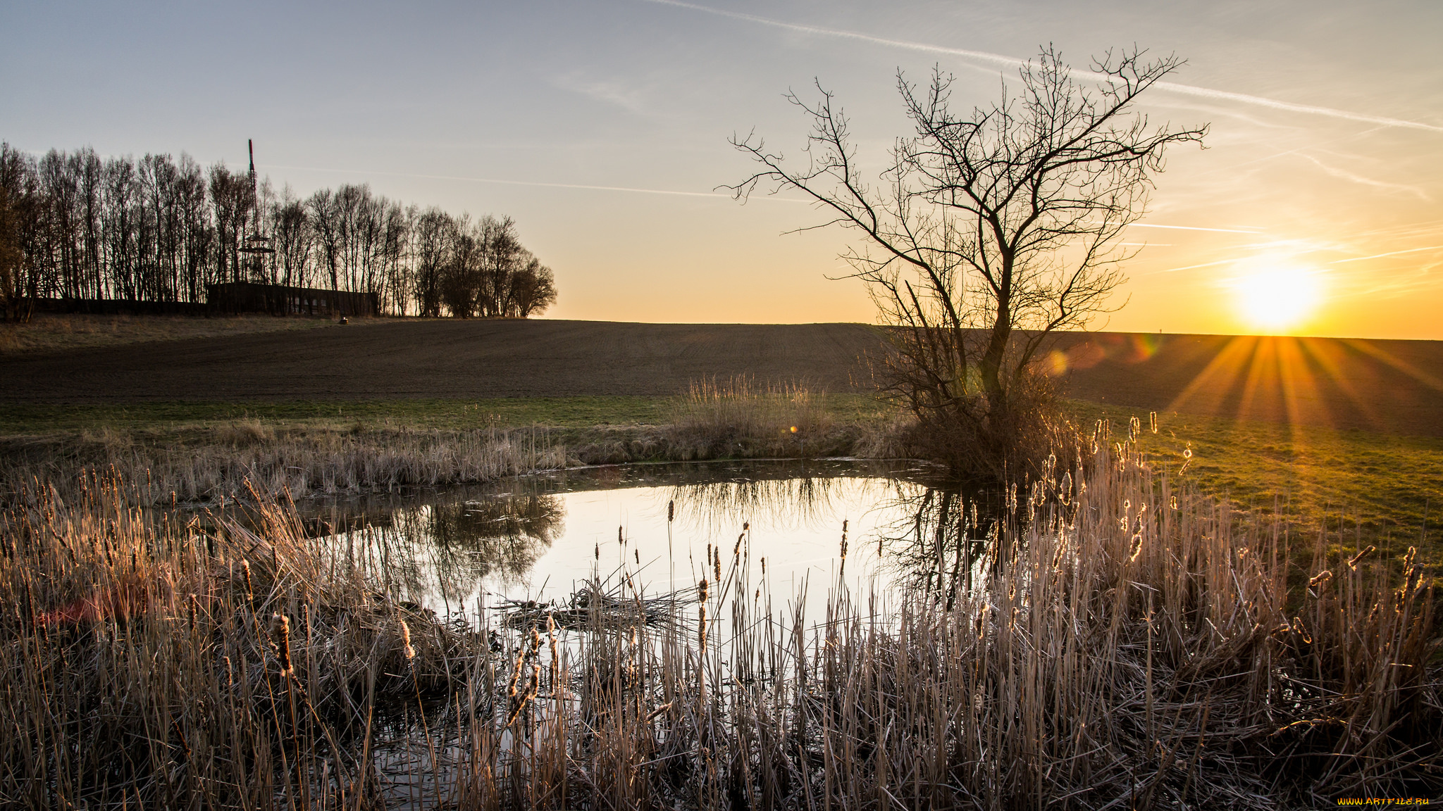 природа, восходы, закаты, рассвет