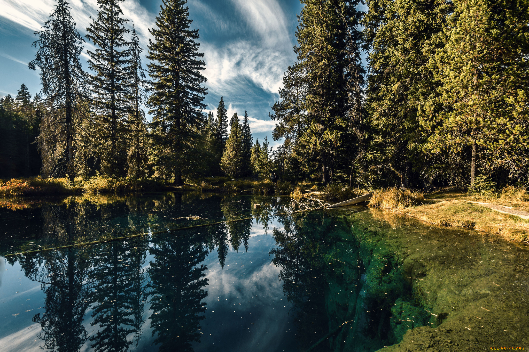 природа, реки, озера, река, лес