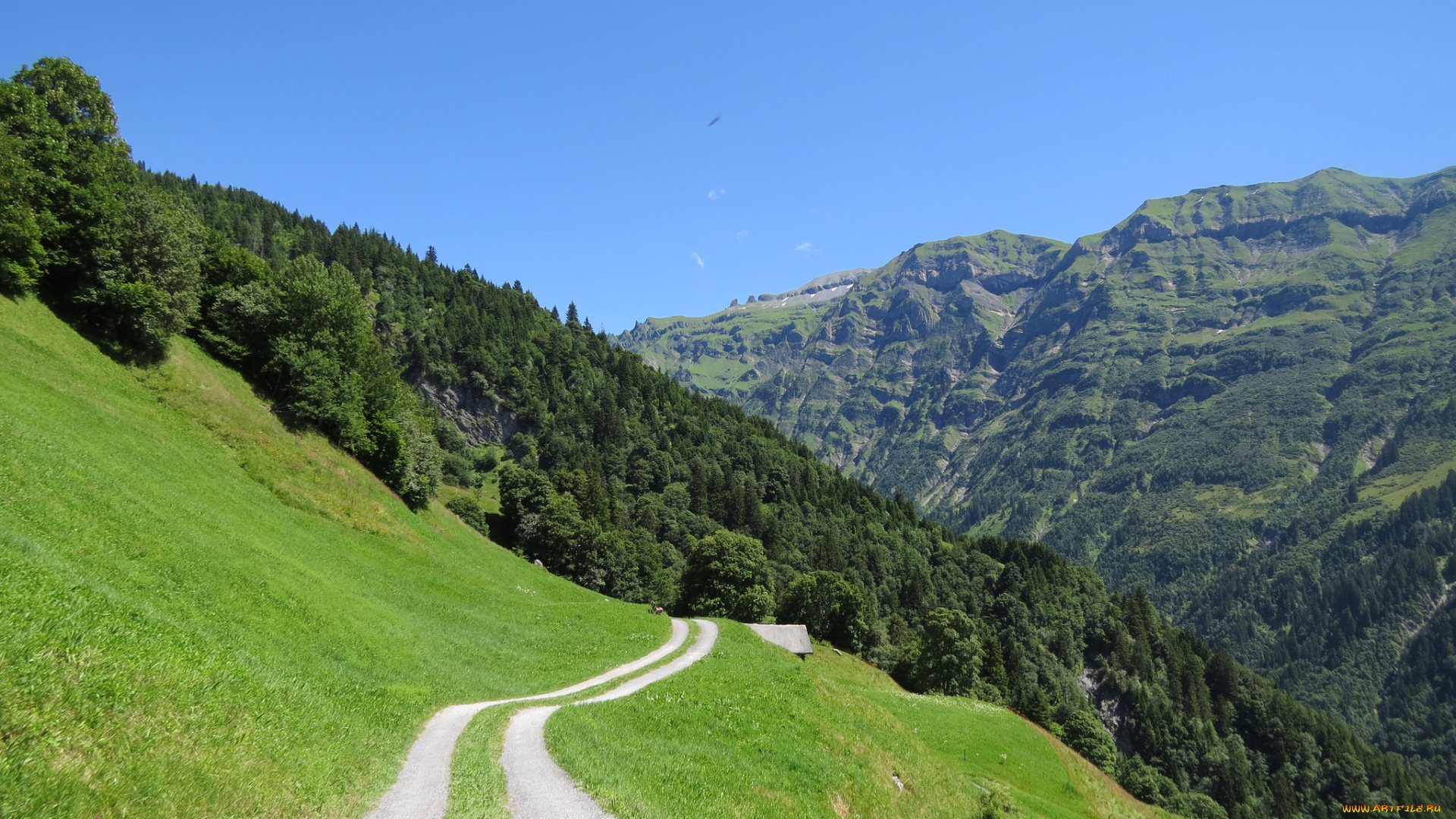 природа, дороги, дорога, горы