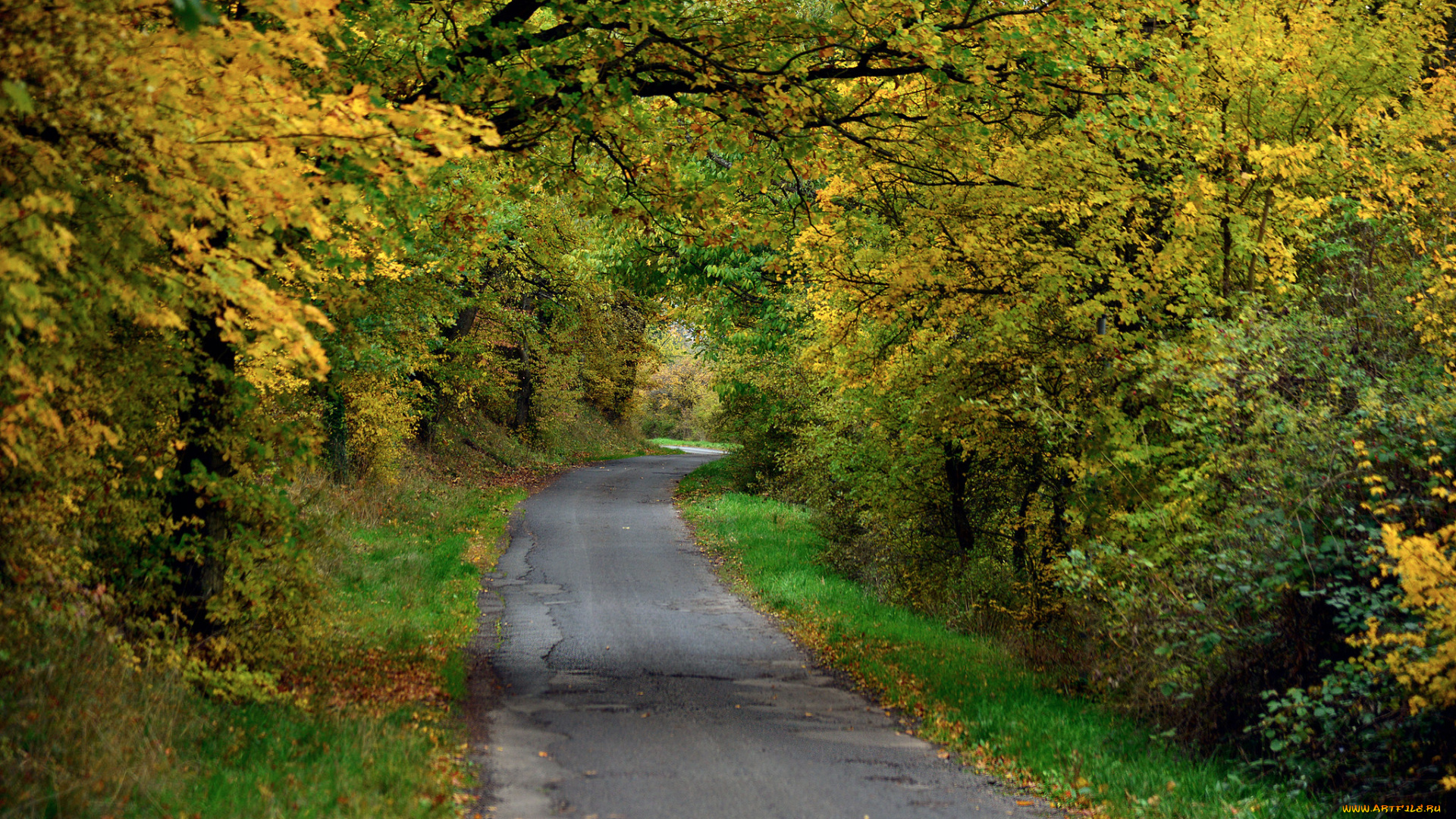 природа, дороги, тракт