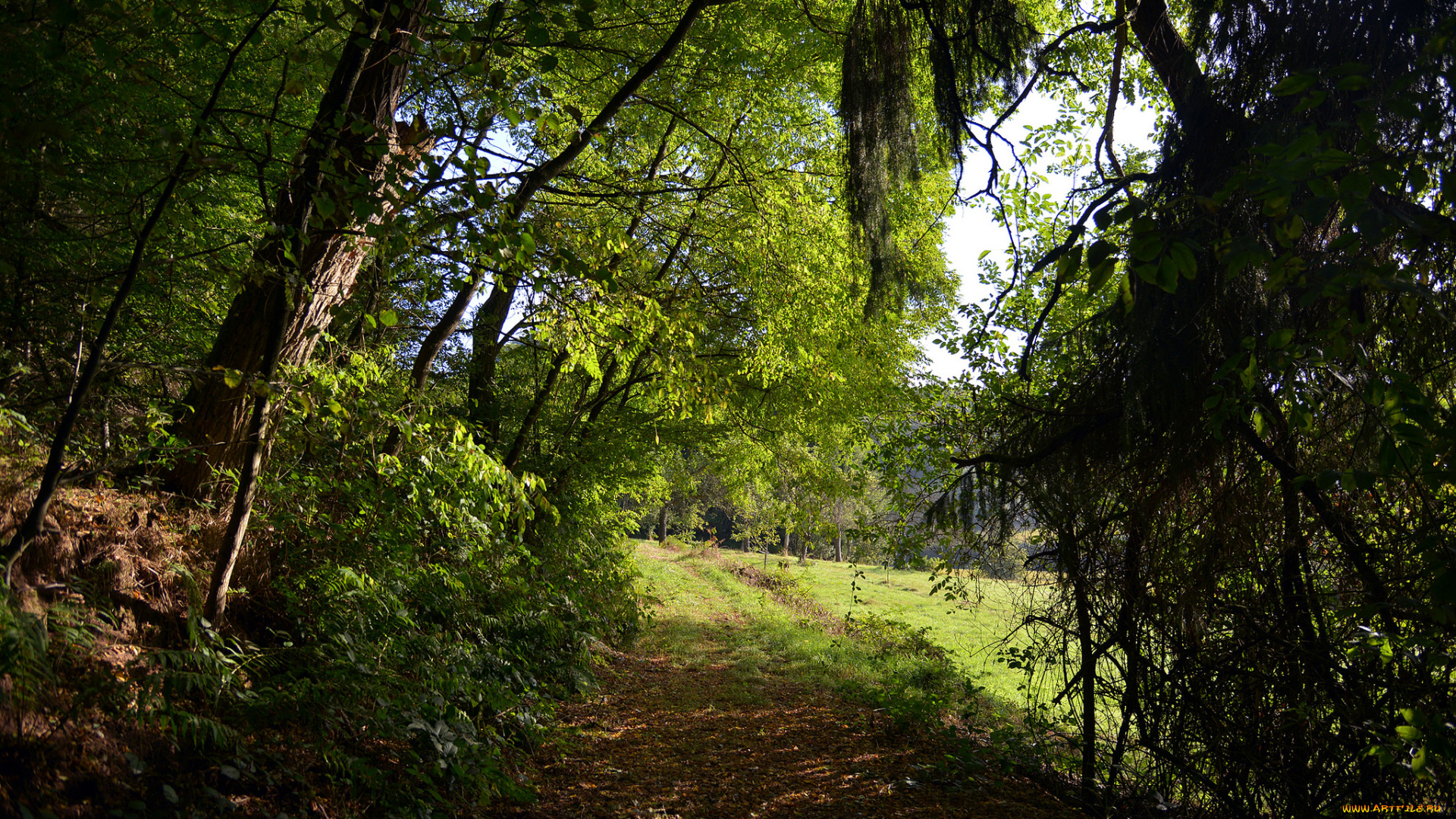 природа, дороги, тракт