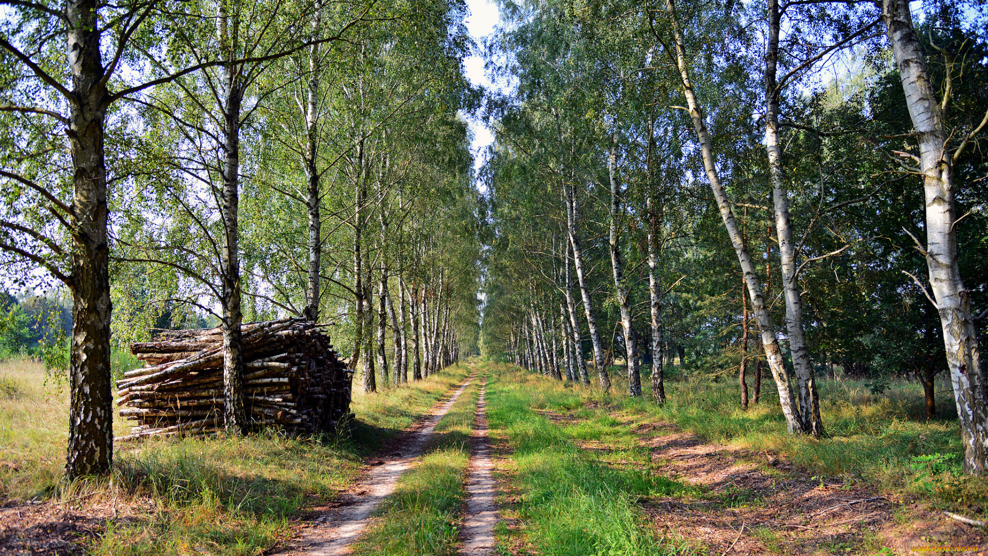 природа, дороги, тракт