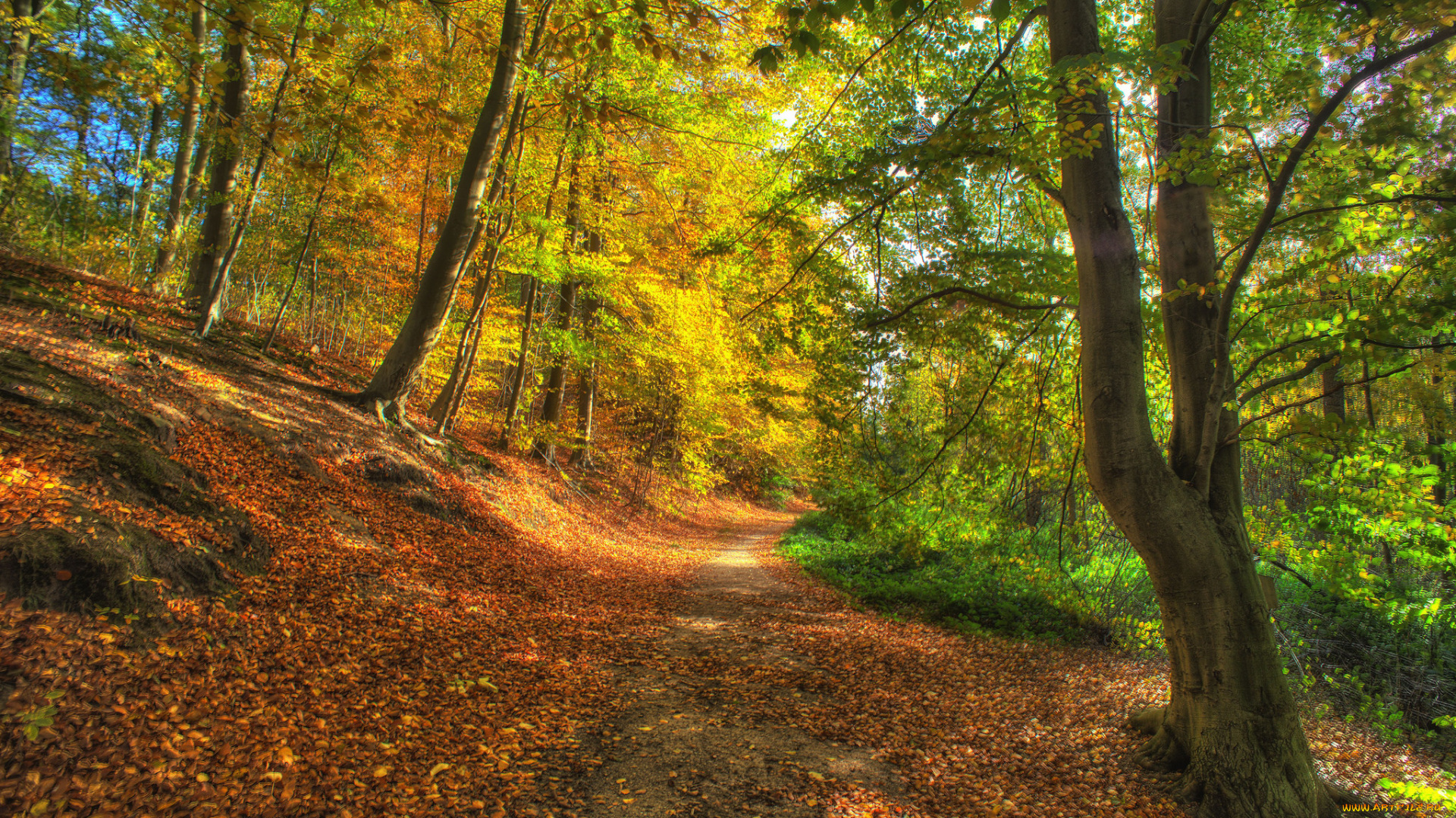 природа, дороги, тракт