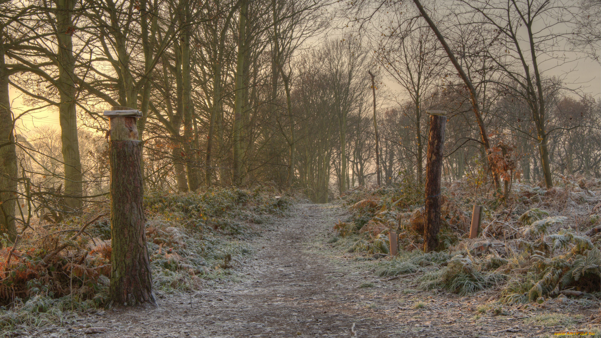 природа, дороги, тракт