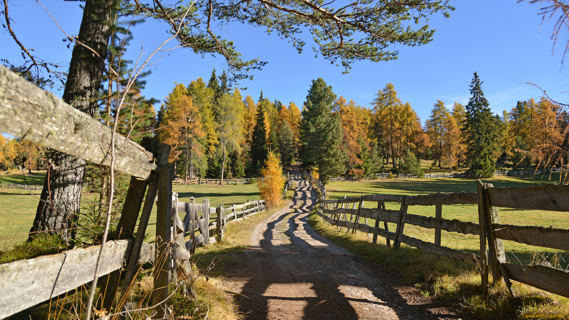 природа, дороги, тракт