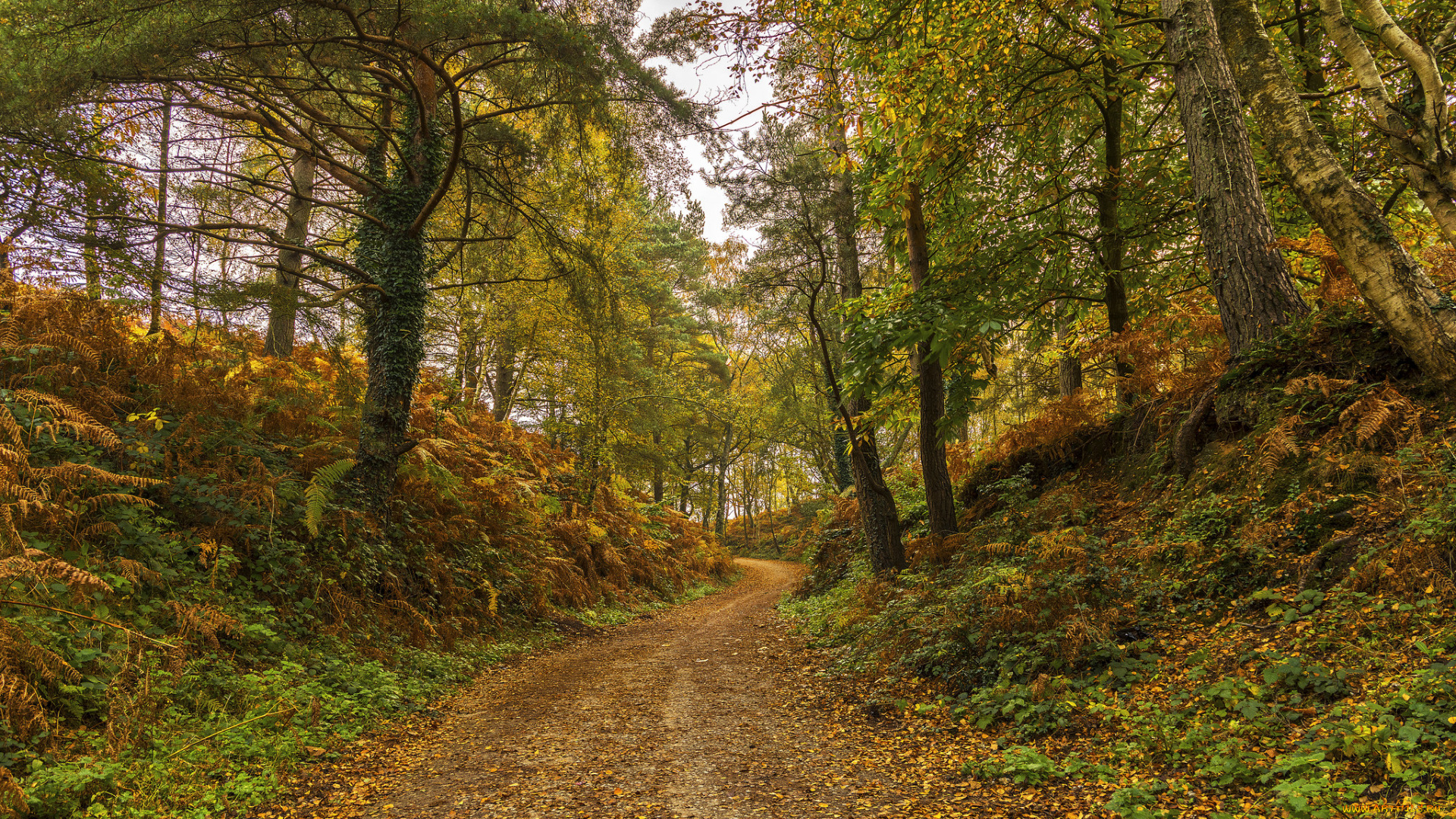 природа, дороги, тракт