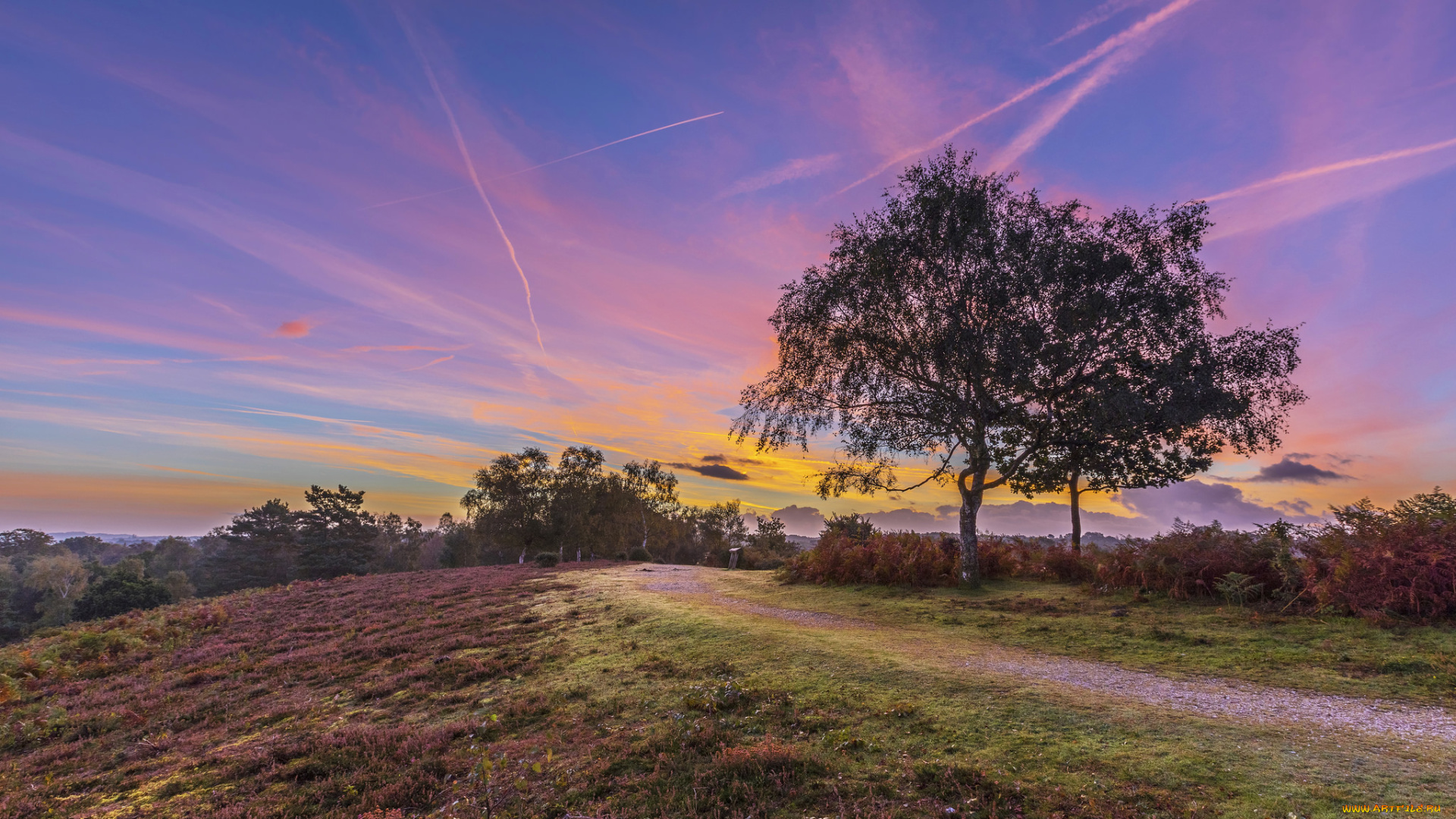 природа, дороги, тракт