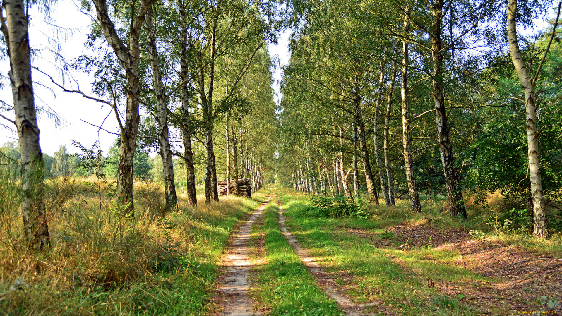 природа, дороги, тракт