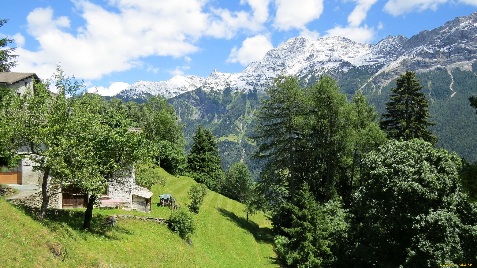 природа, горы, лес