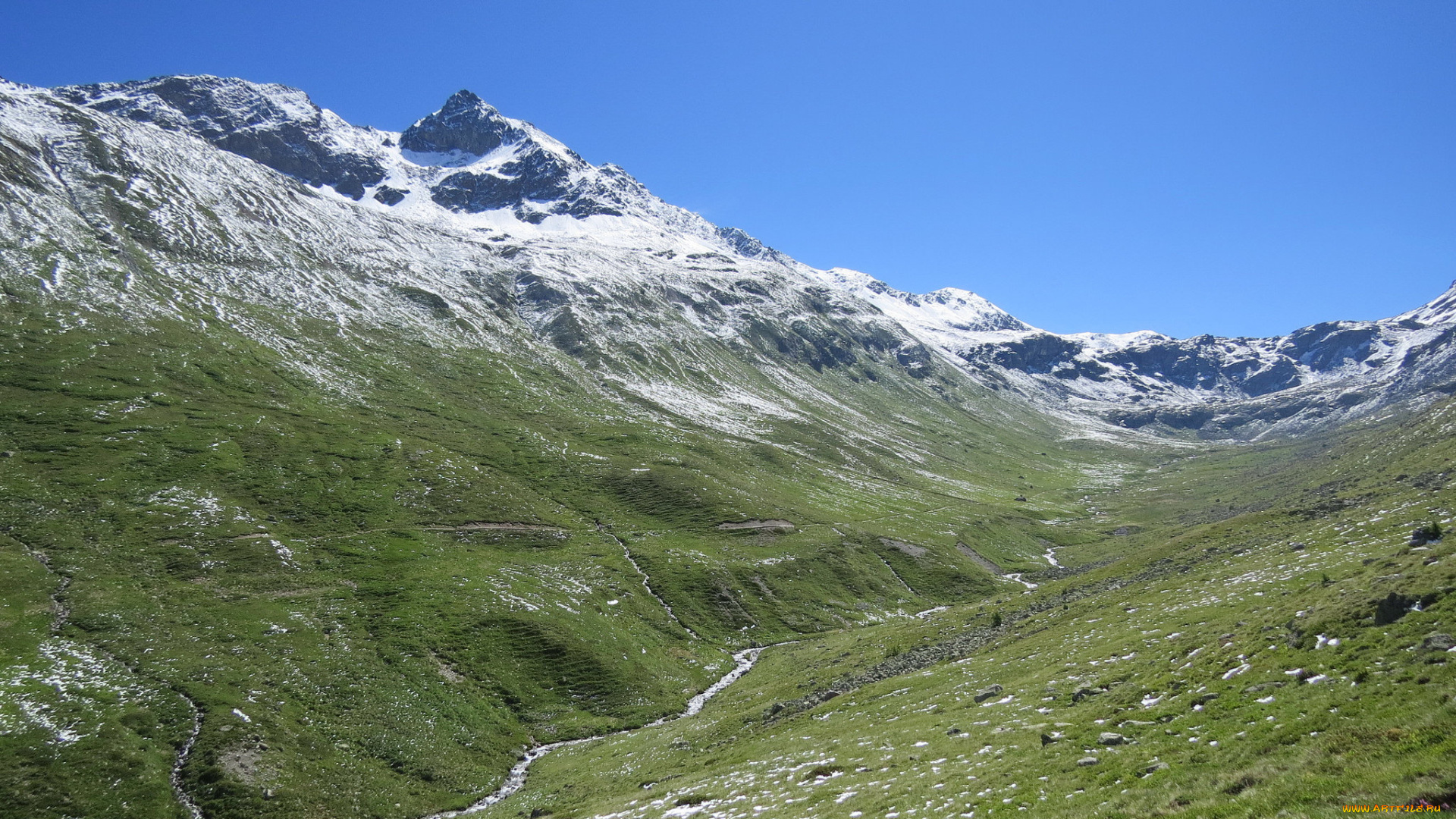 природа, грибы, горы