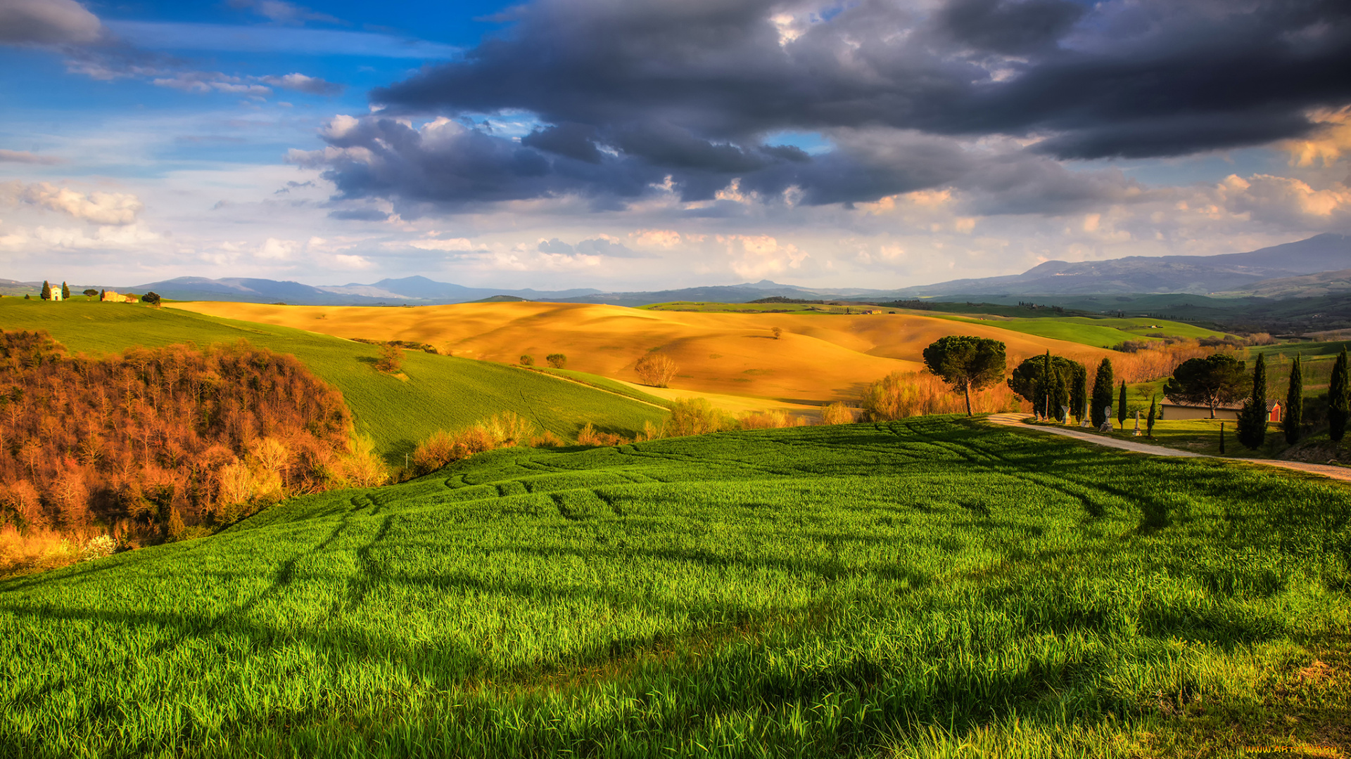 природа, поля, луга, солнечно, облака, трава, тоскана, tuscany, небо, деревья, италия