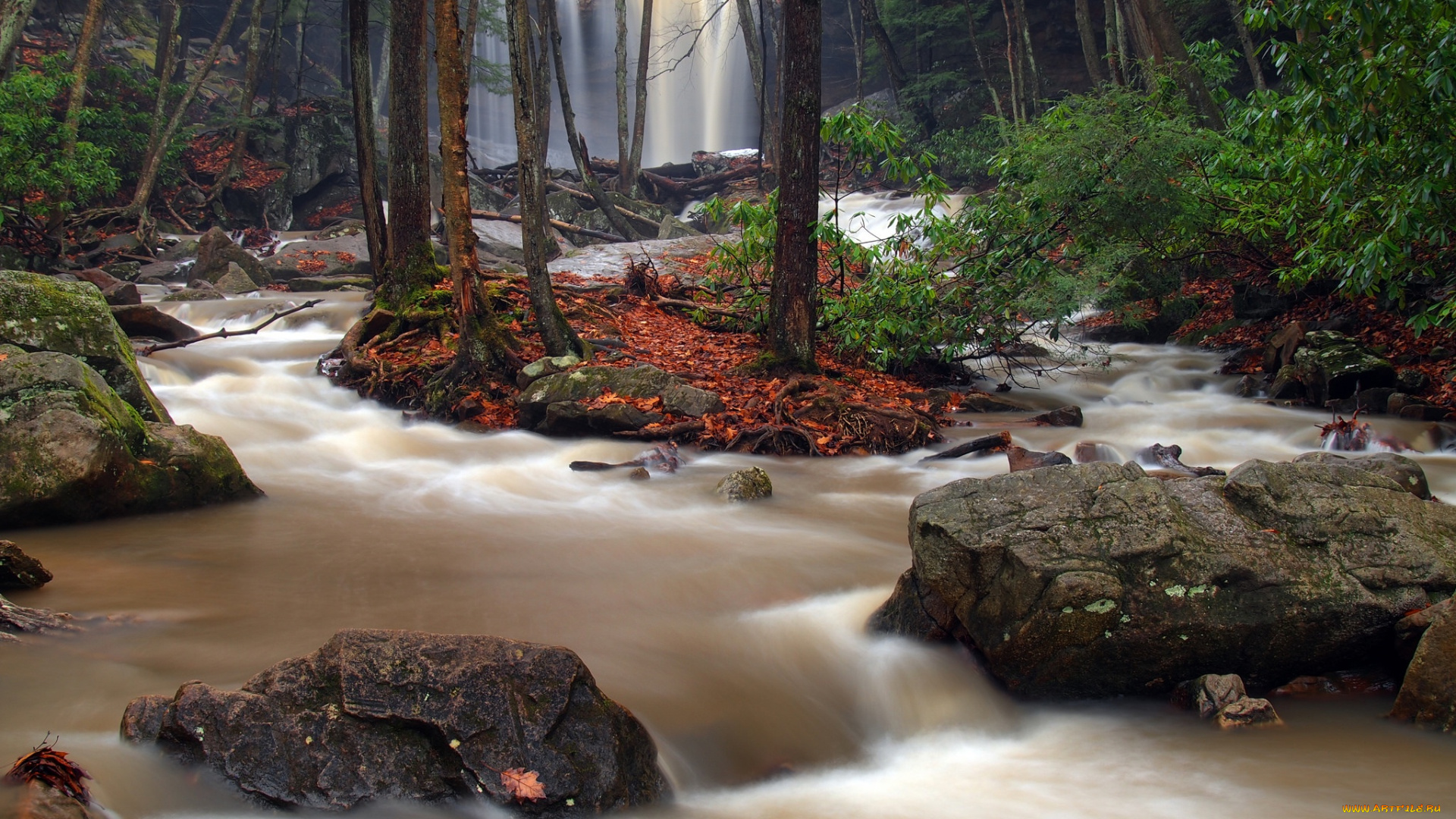 природа, водопады, лес, река