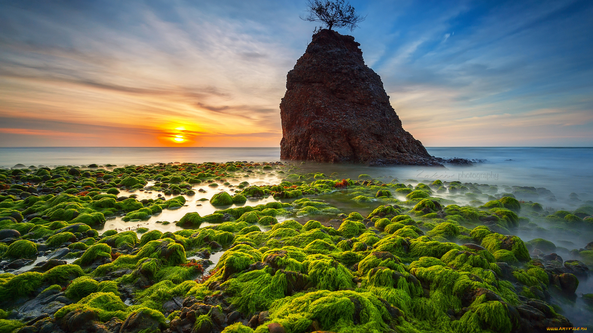 природа, восходы, закаты, слизь, море, дерево, камень, небо, горизонт, облака, закат