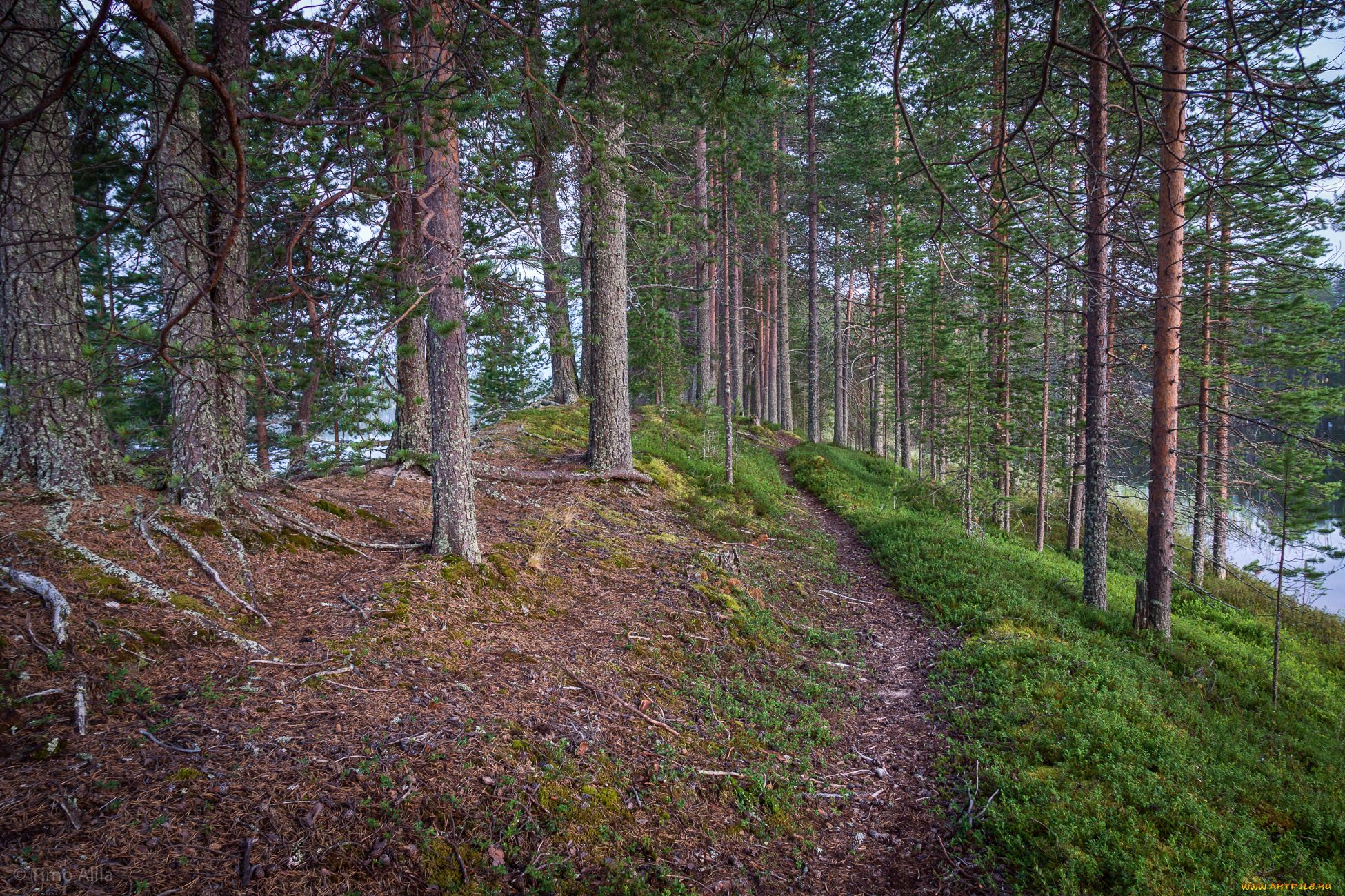 природа, дороги, тракт