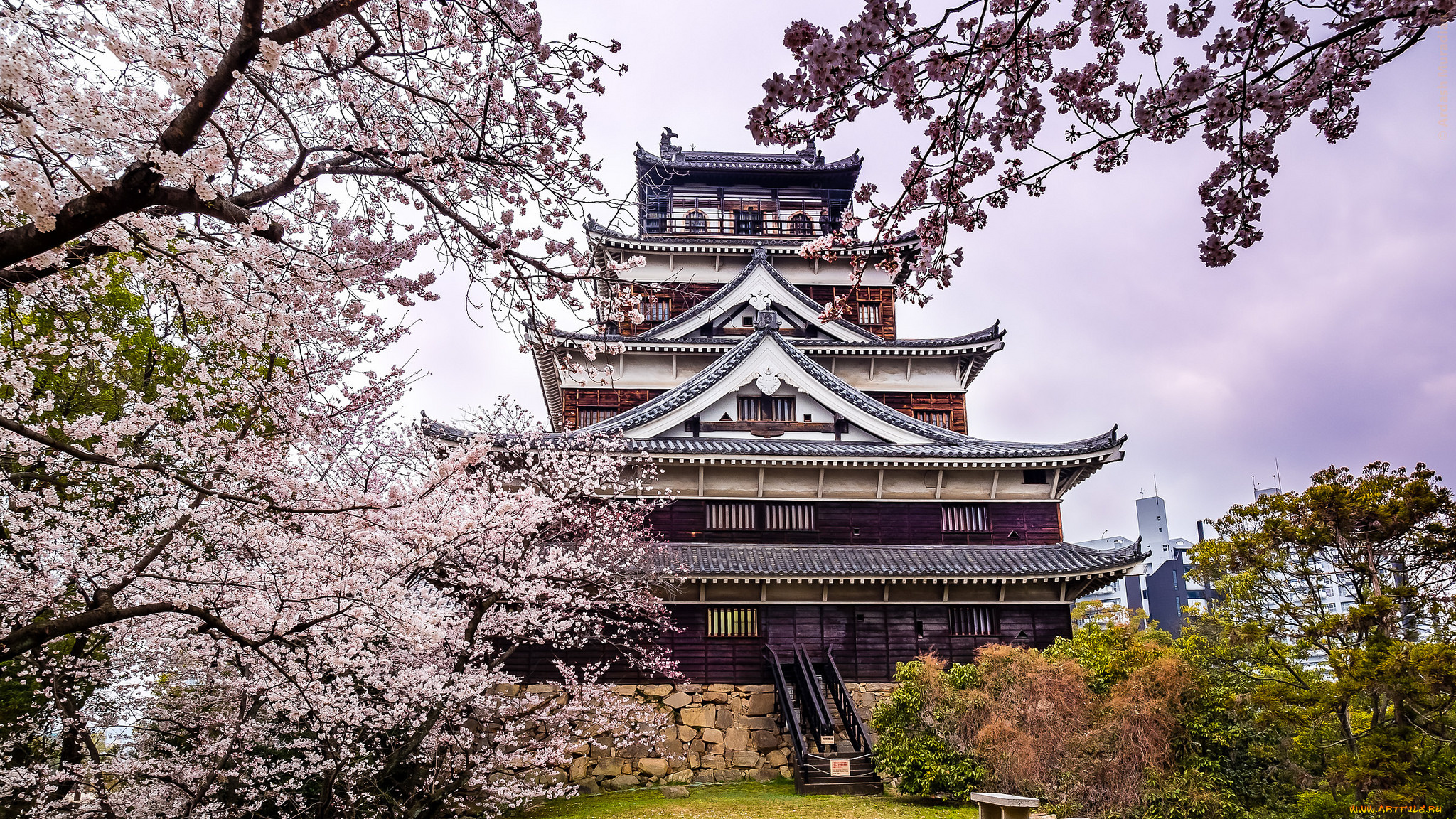 города, -, буддийские, и, другие, храмы, храм