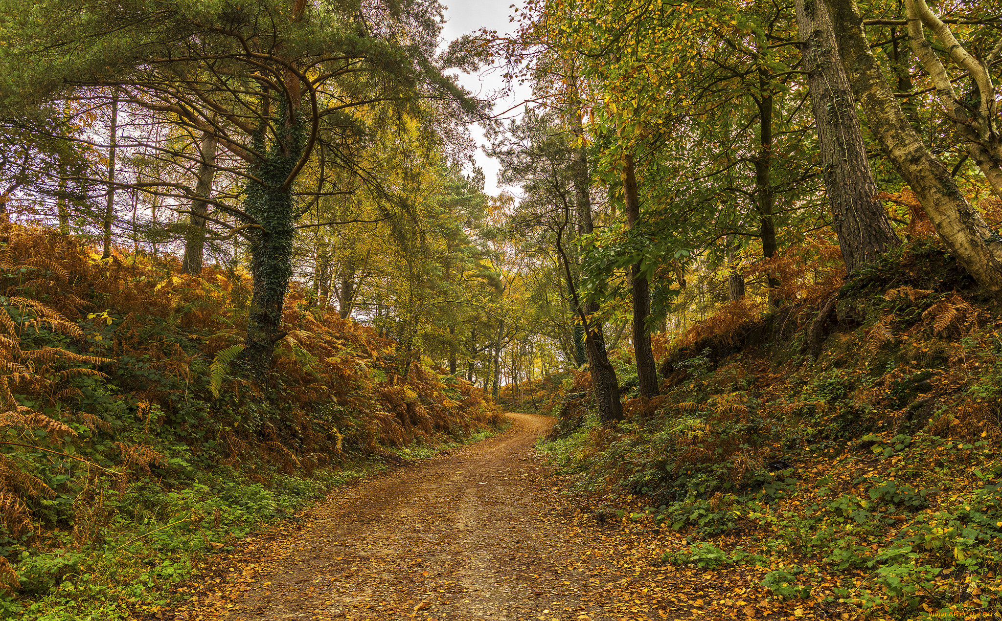 природа, дороги, тракт