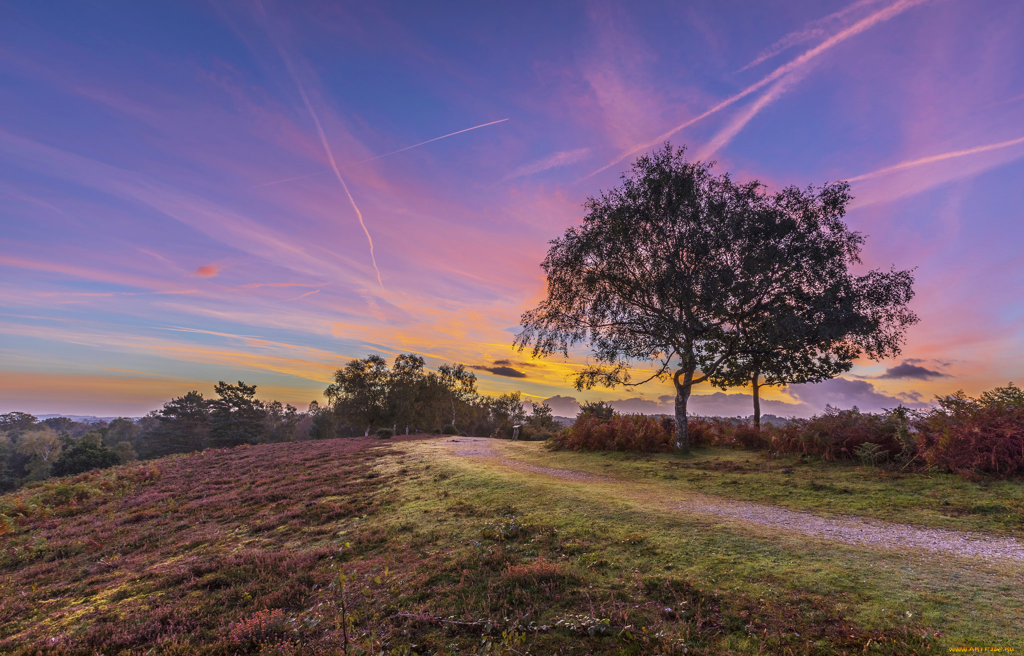 природа, дороги, тракт