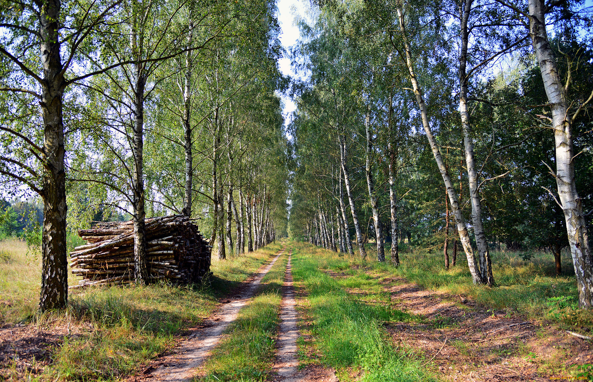 природа, дороги, тракт