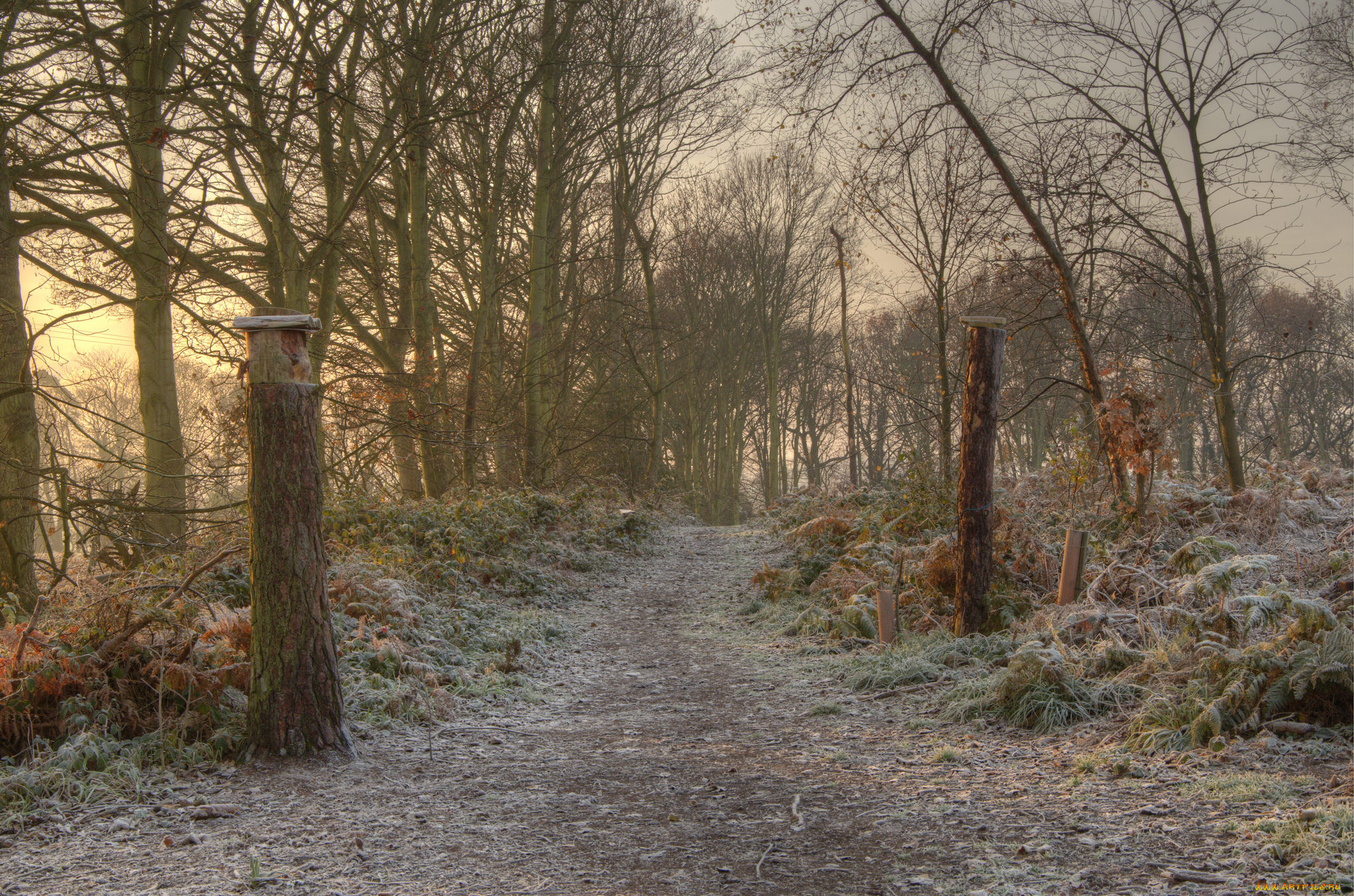 природа, дороги, тракт