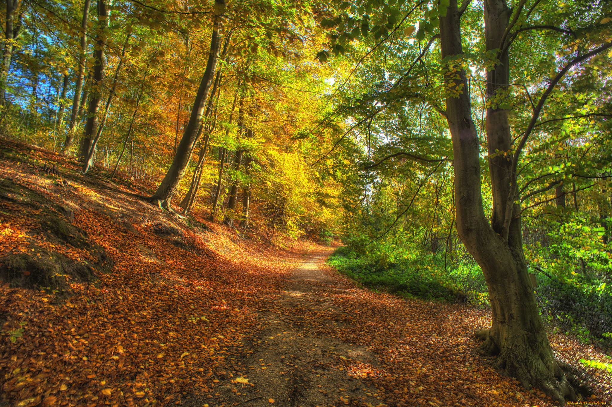 природа, дороги, тракт