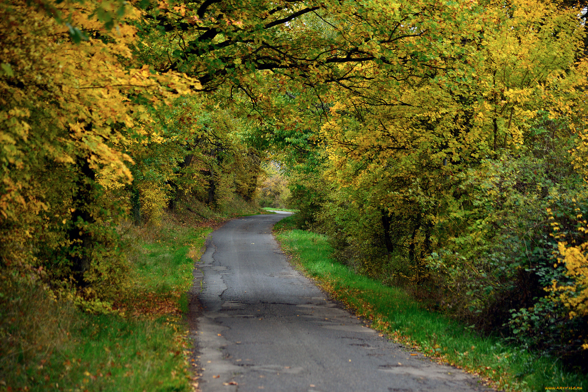 природа, дороги, тракт
