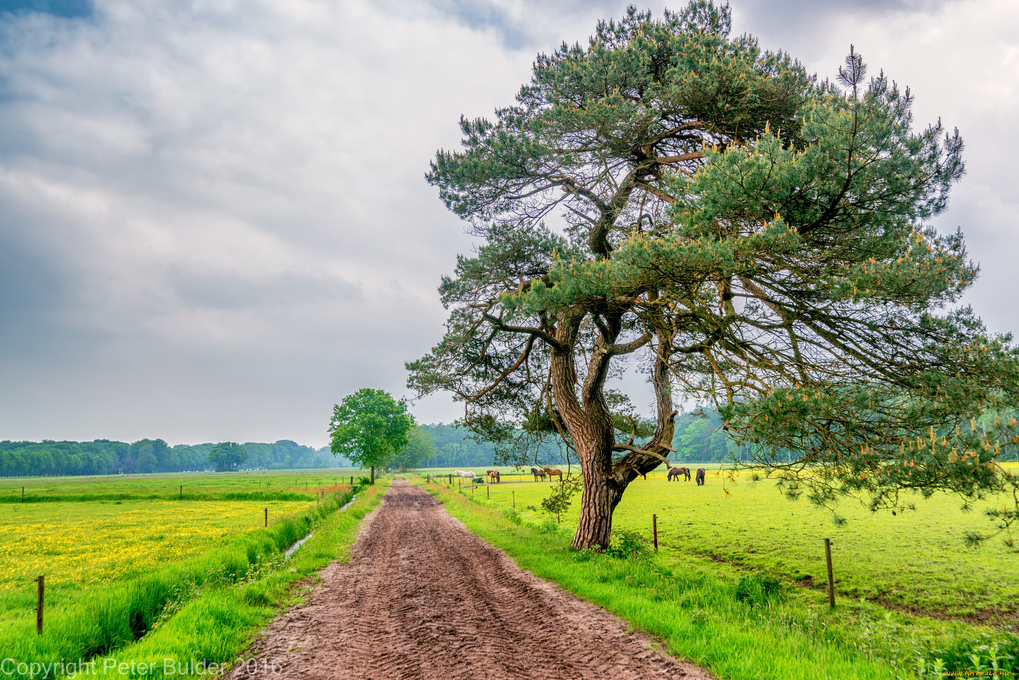 природа, дороги, тракт