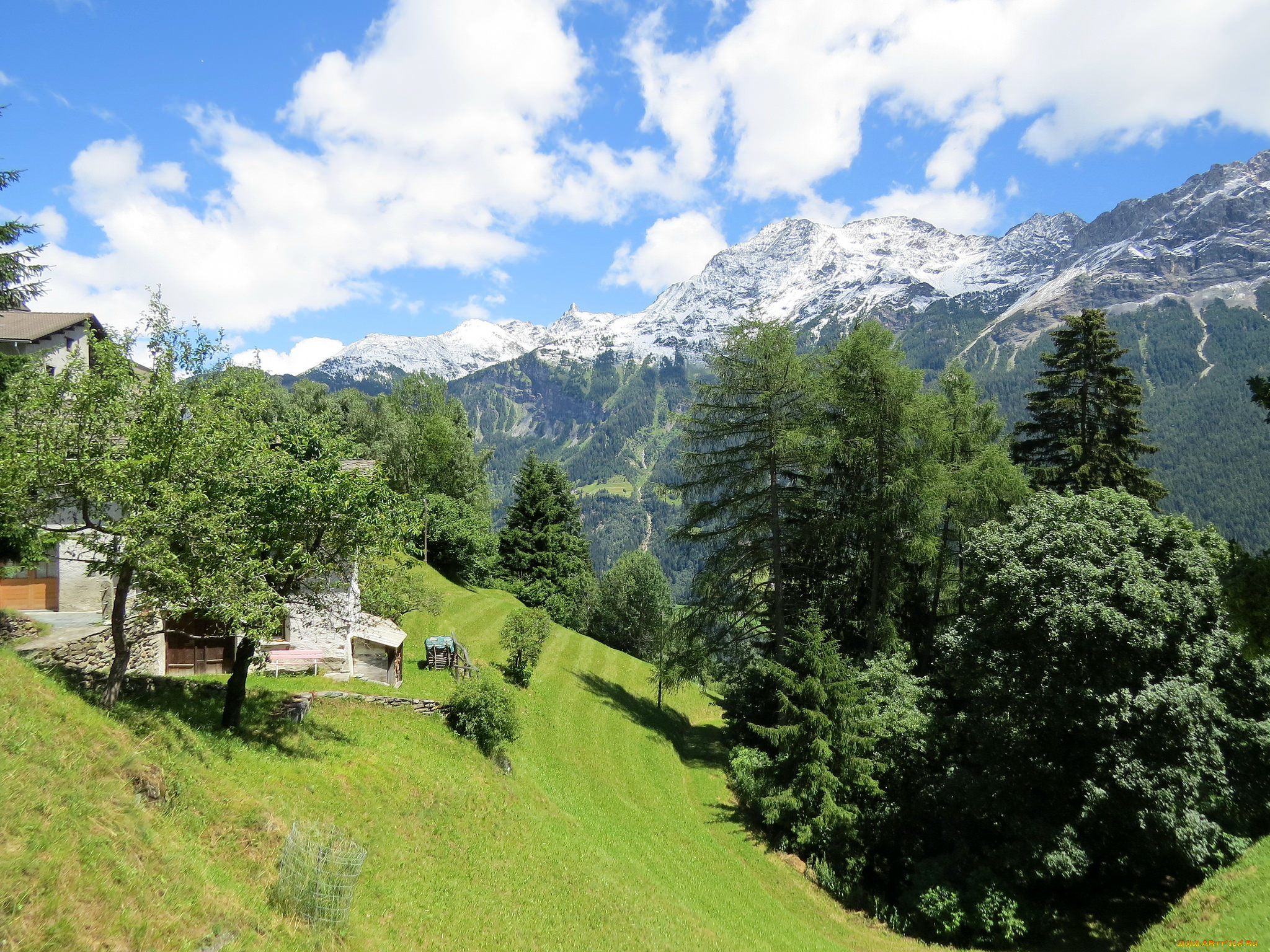 природа, горы, лес