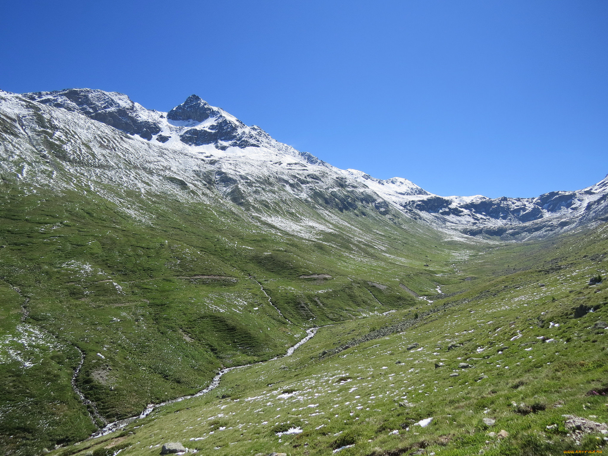 природа, грибы, горы