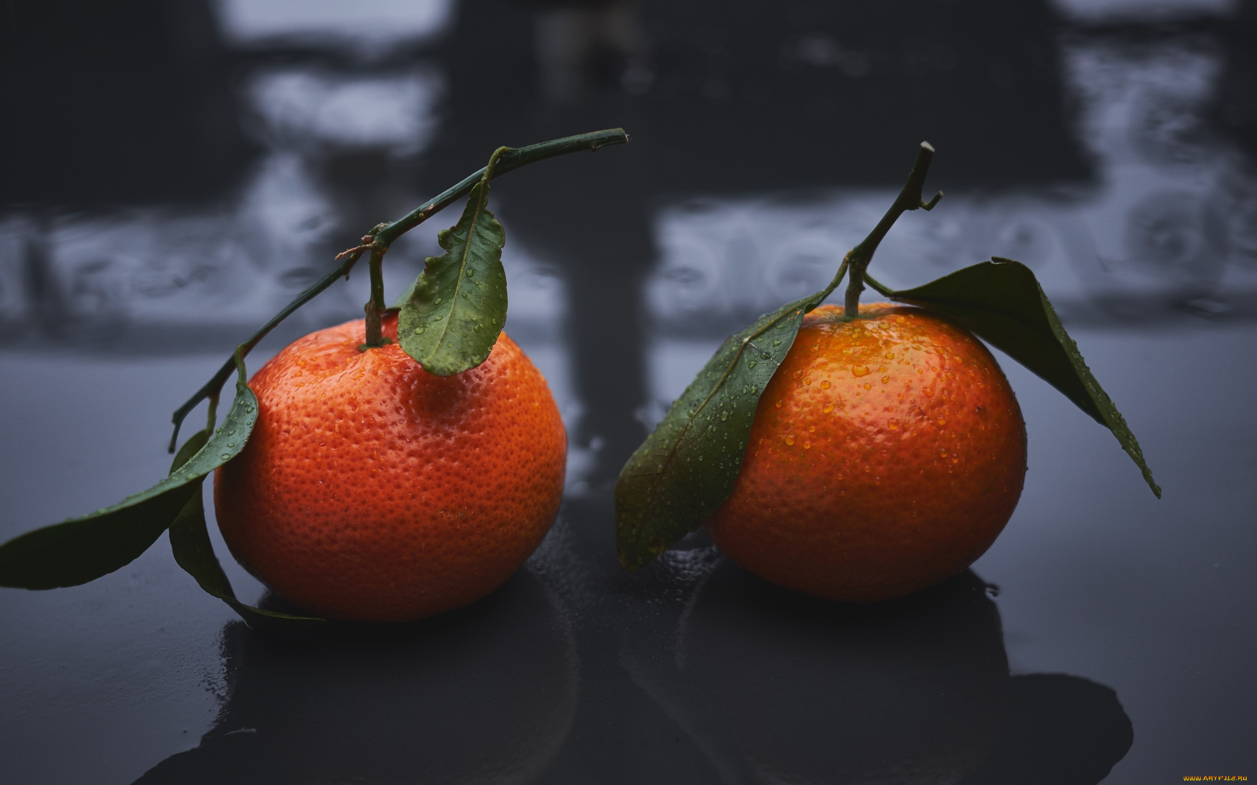 еда, цитрусы, мандарины