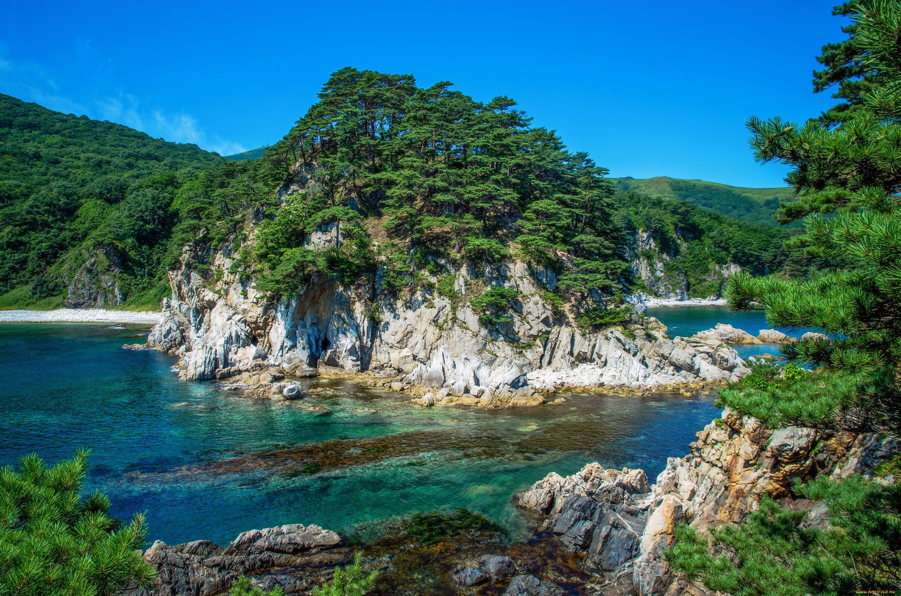 остров, природа, реки, озера, приморье, река