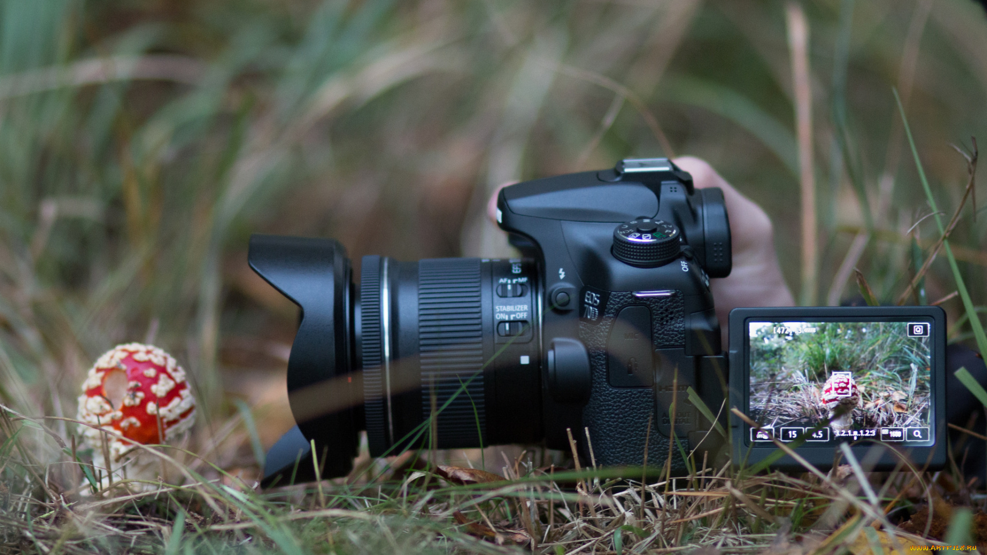 бренды, cancun, фотокамера