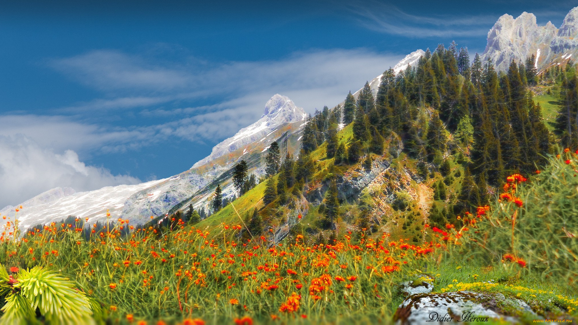 природа, луга, простор